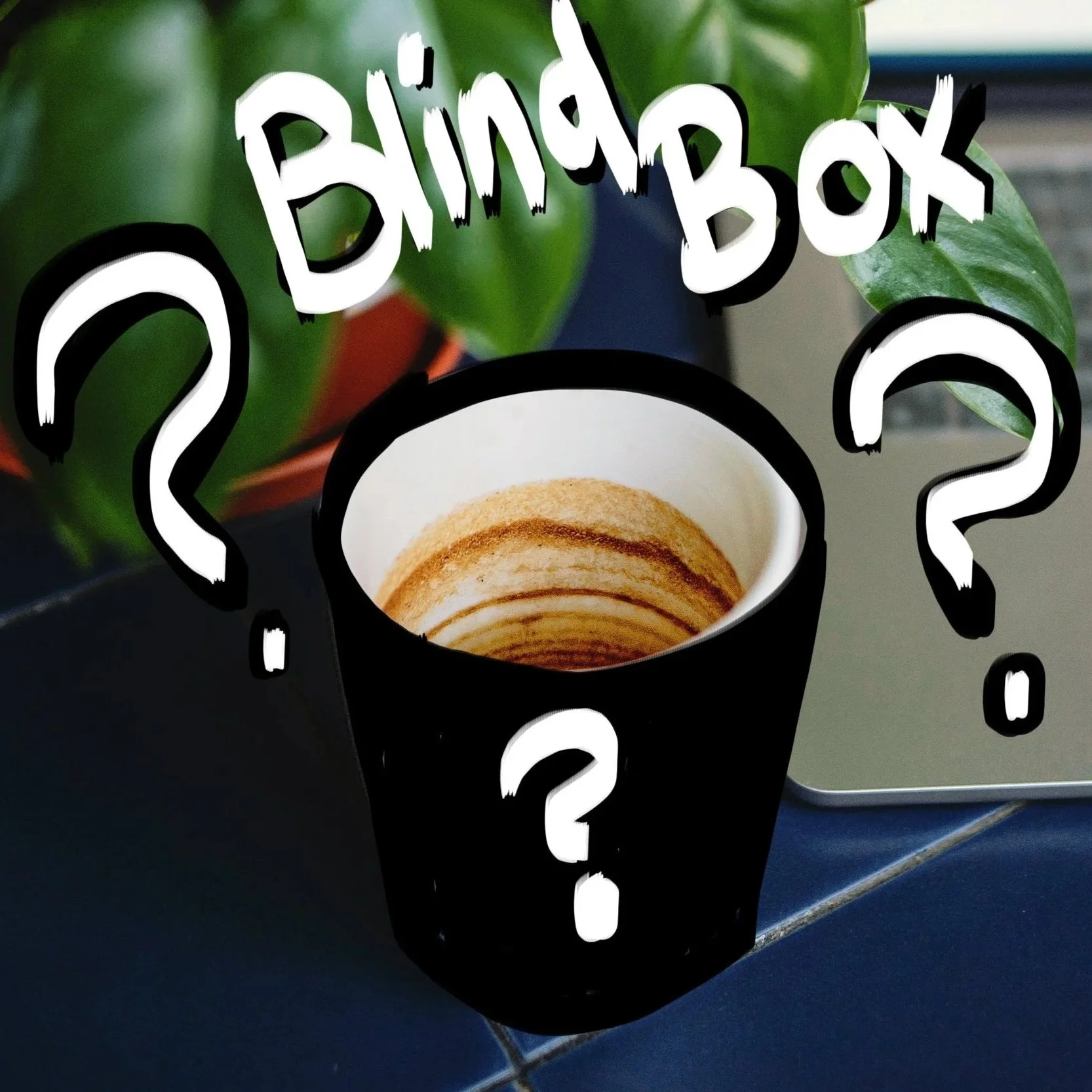 bb.jpg
