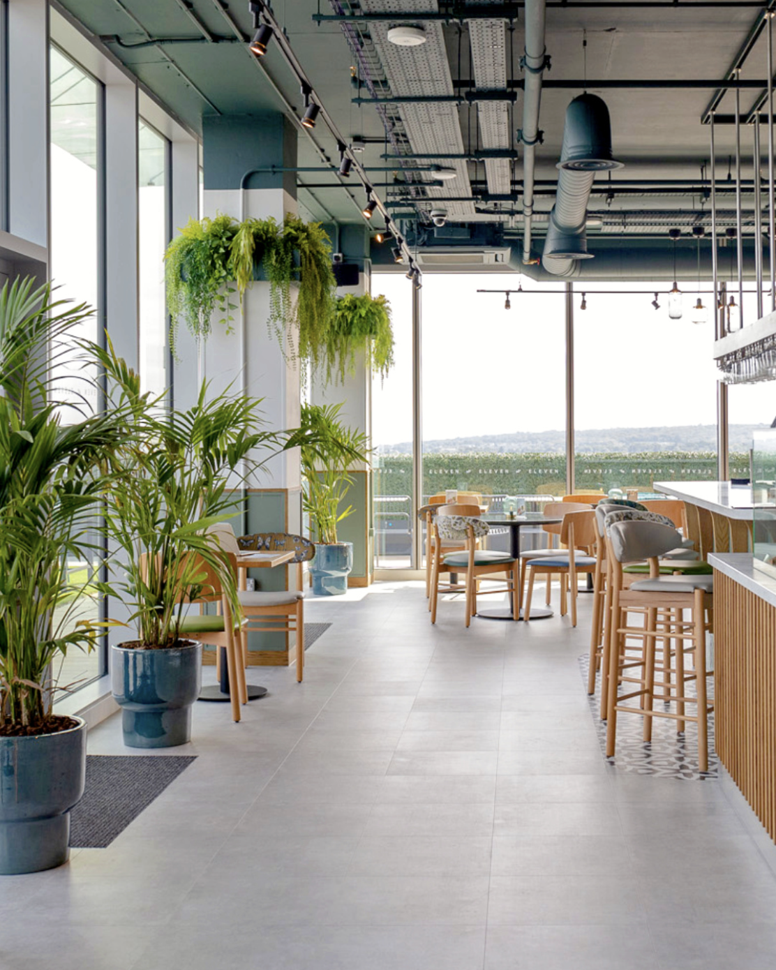 Modern indoor cafe with large windows, green plants, wooden chairs, and a bar counter, overlooking a cityscape.