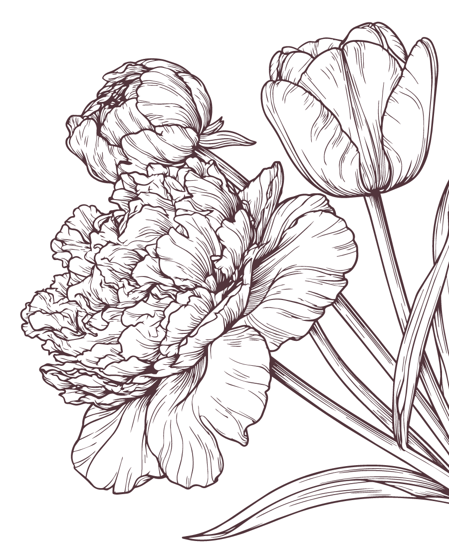 Line drawing of a flower with large petals and leaves, depicted in dark purple on a black background.