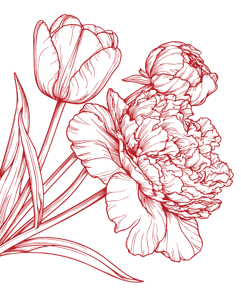 Red line drawing of a tulip and carnation flowers on black background.
