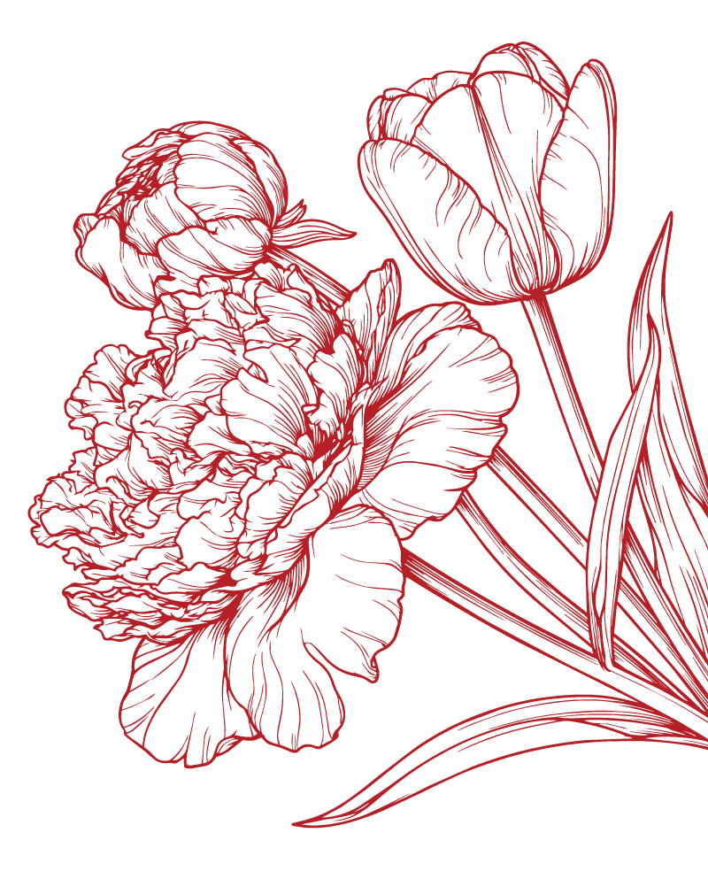 Red line drawing of a flower on a black background.