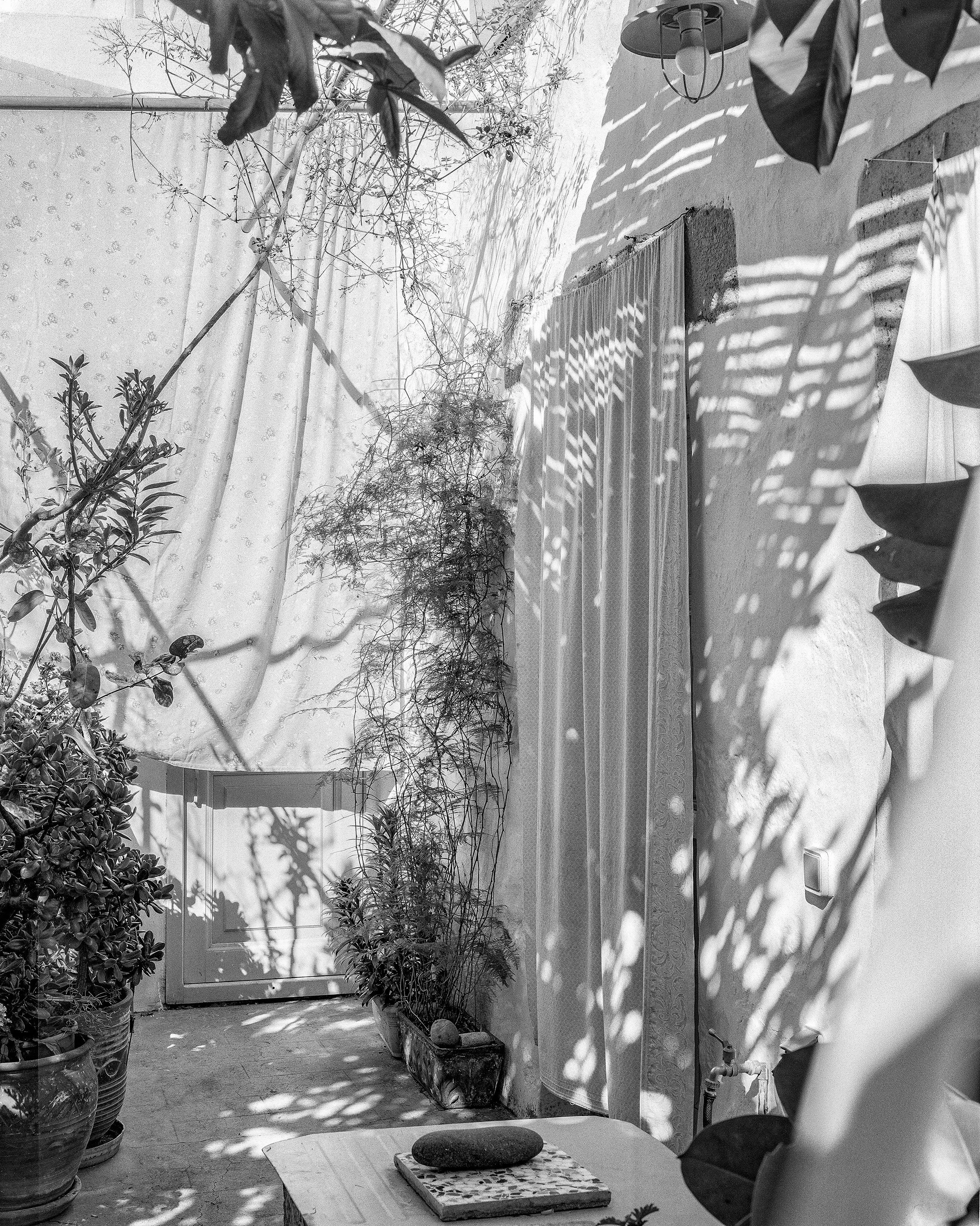 Harbour of the Soul. Mysteries of the courtyard.