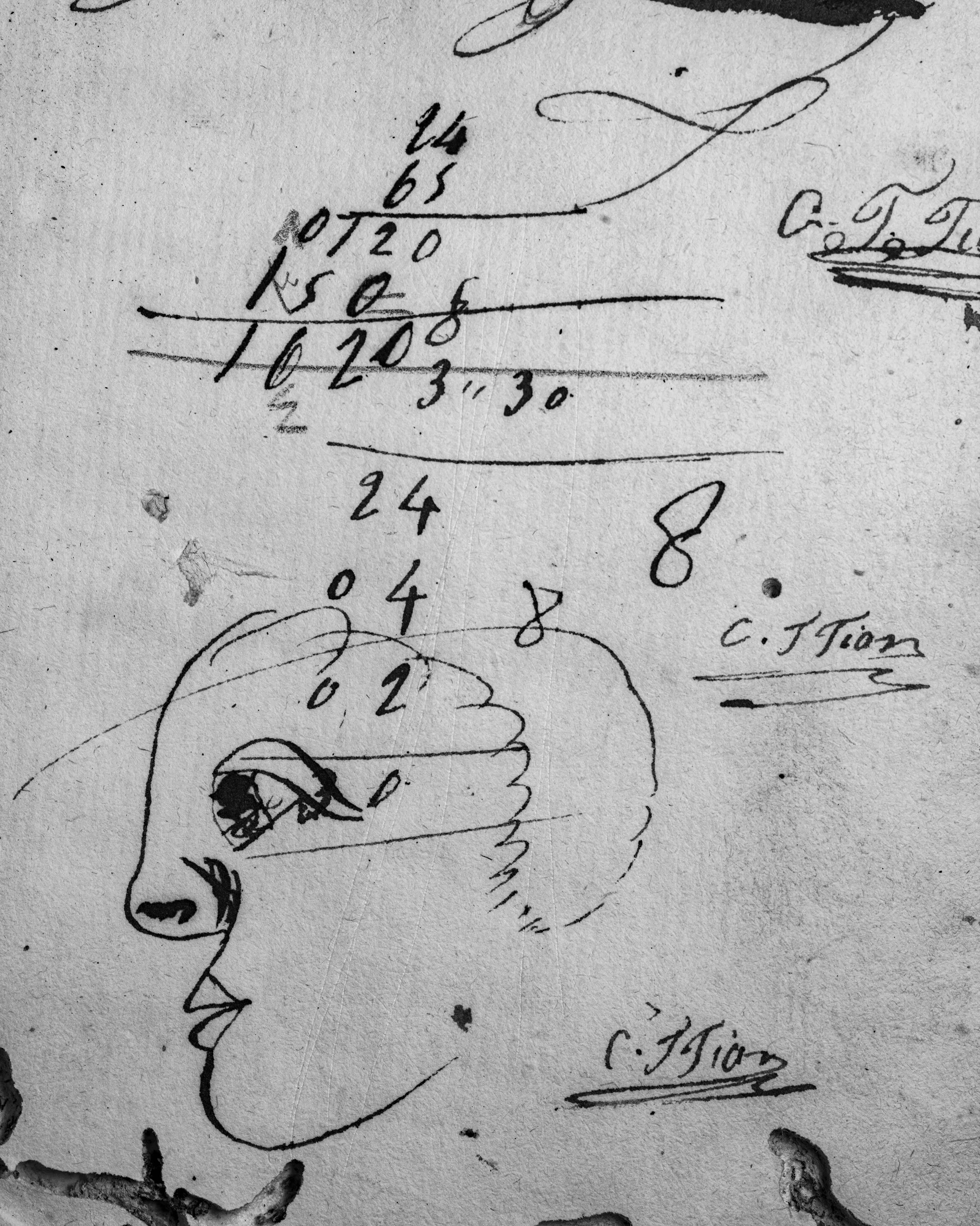 Harbour of the Soul. Stop doodling and redo the math. A profile drawn in ink across a page of arithmetic, in the margin of a manuscript.