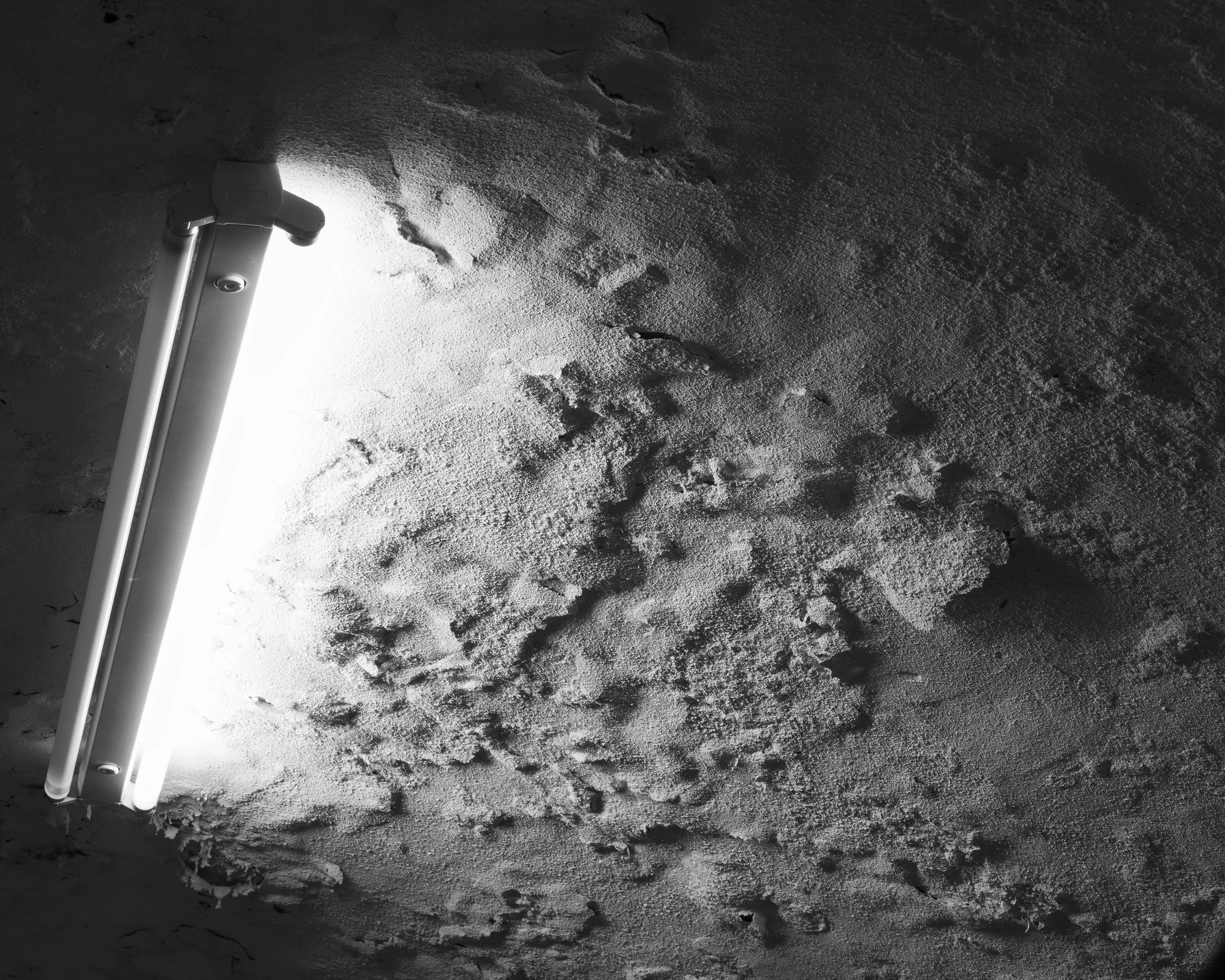 Harbour of the Soul. Moon landing.