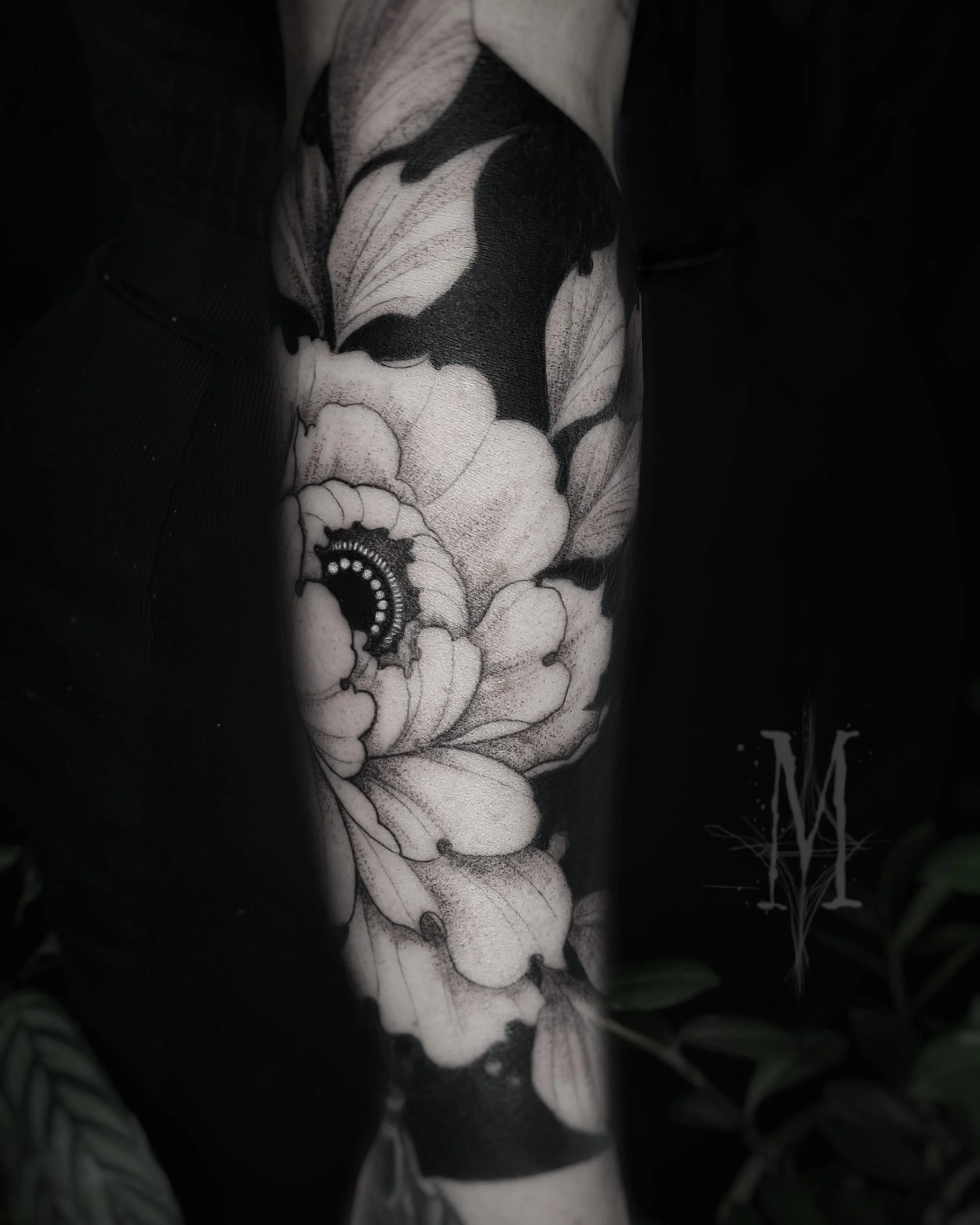 Tatouage en noir et blanc d'une fleur très claire et détaillée sur fond noir.