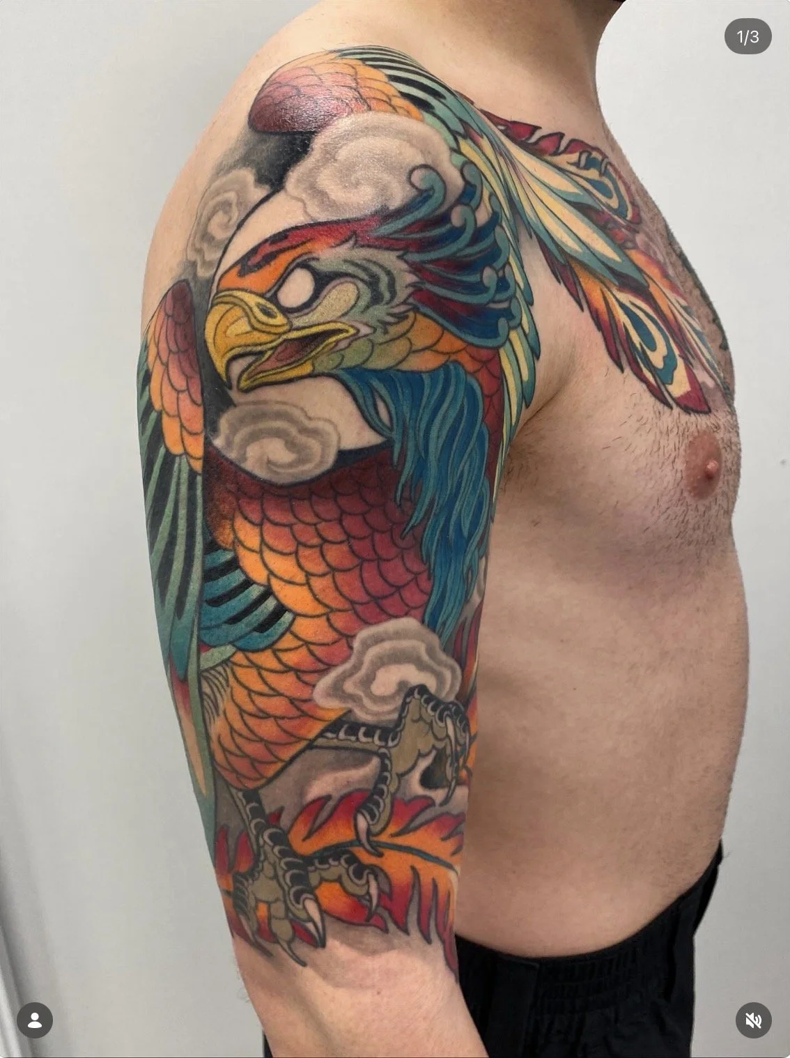 Tatouage d'un phénix coloré sur le bras d'un homme.