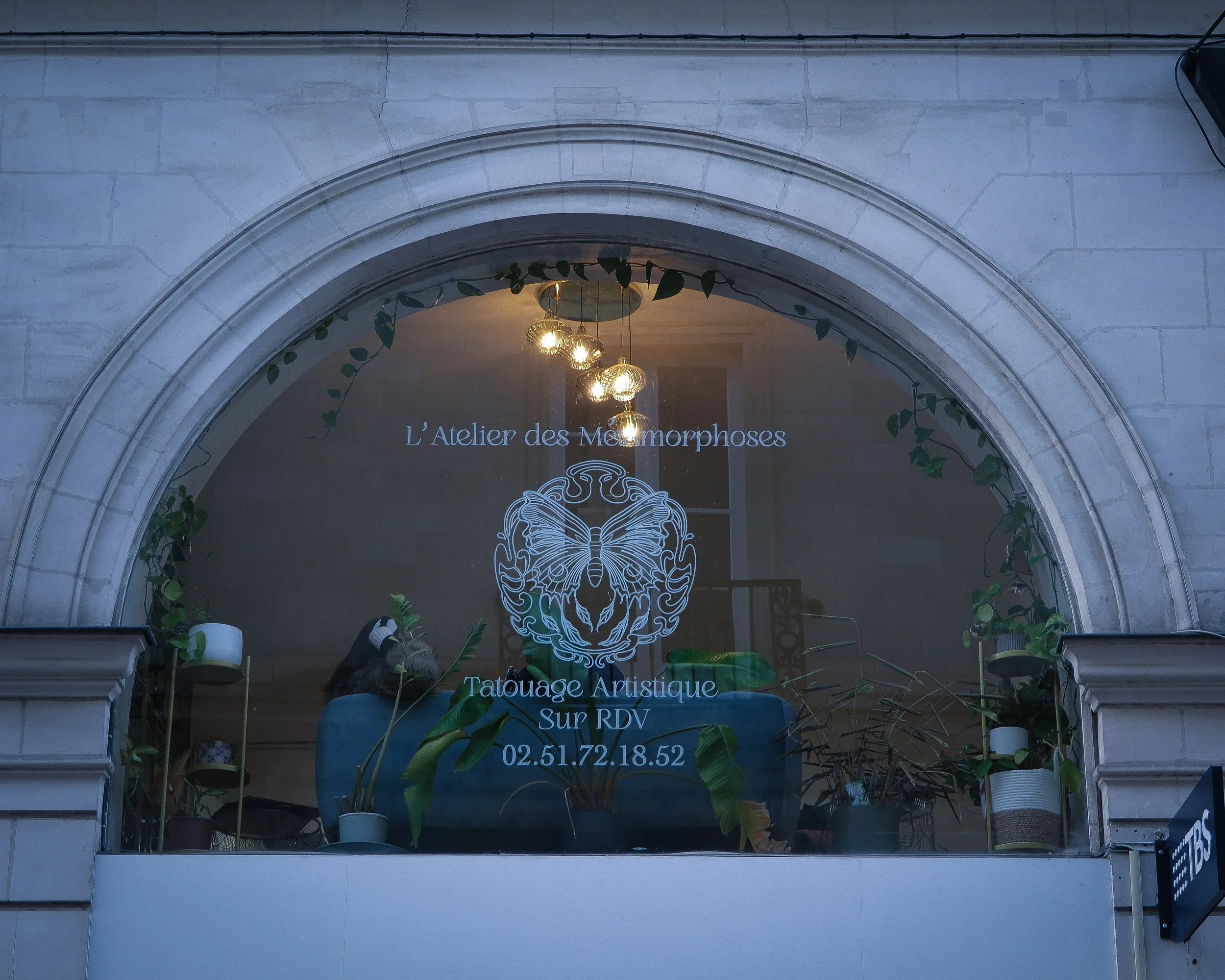 Une devanture de boutique avec un panneau indiquant "L'Atelier des Morphoses - Tatouage Artistique sur RDV" et un numéro de téléphone. La vitrine est décorée de plantes et d’un éclairage suspendu.