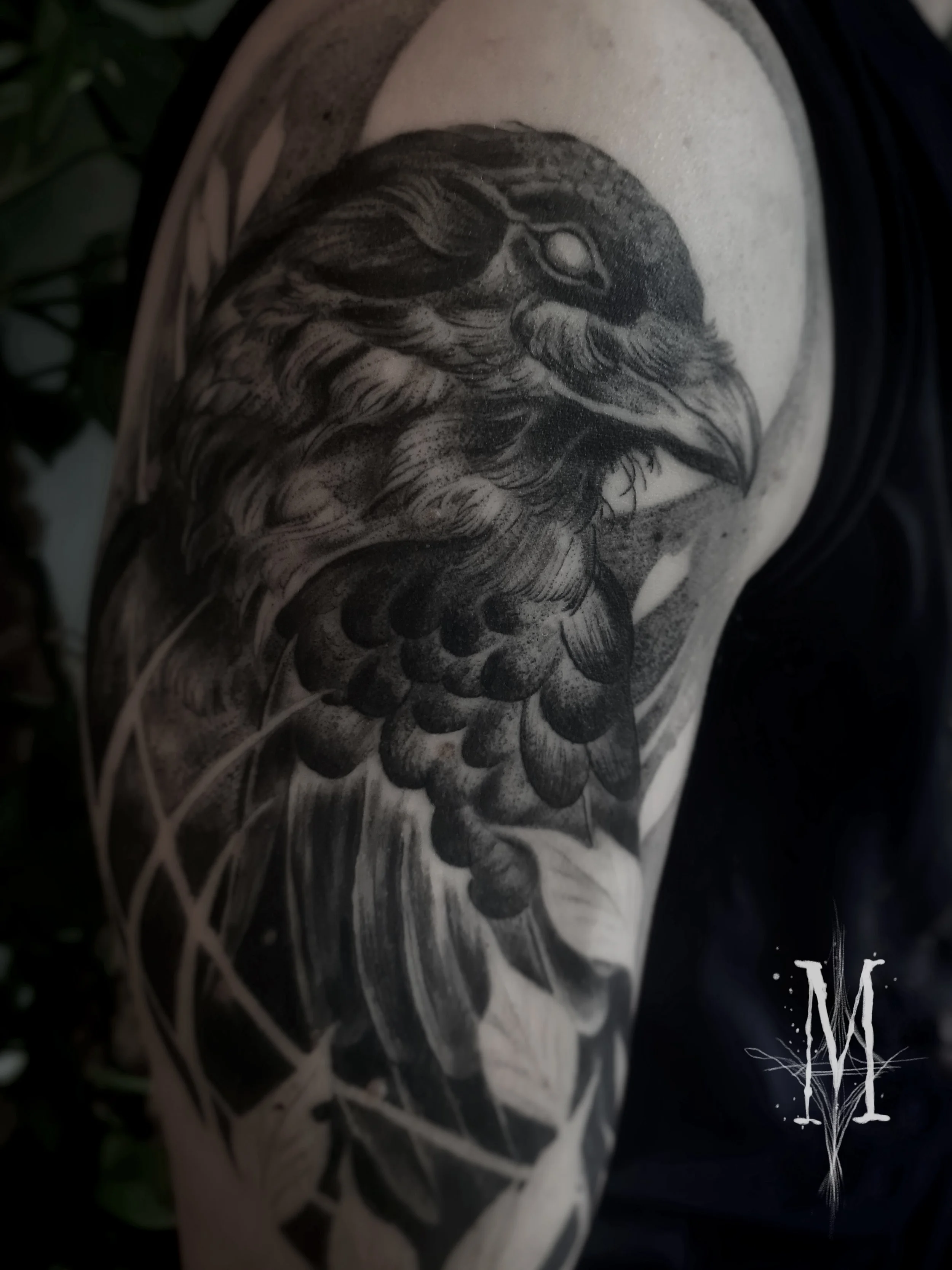 Un tatouage en noir et blanc représentant un corbeau, situé sur le bras d'une personne.
