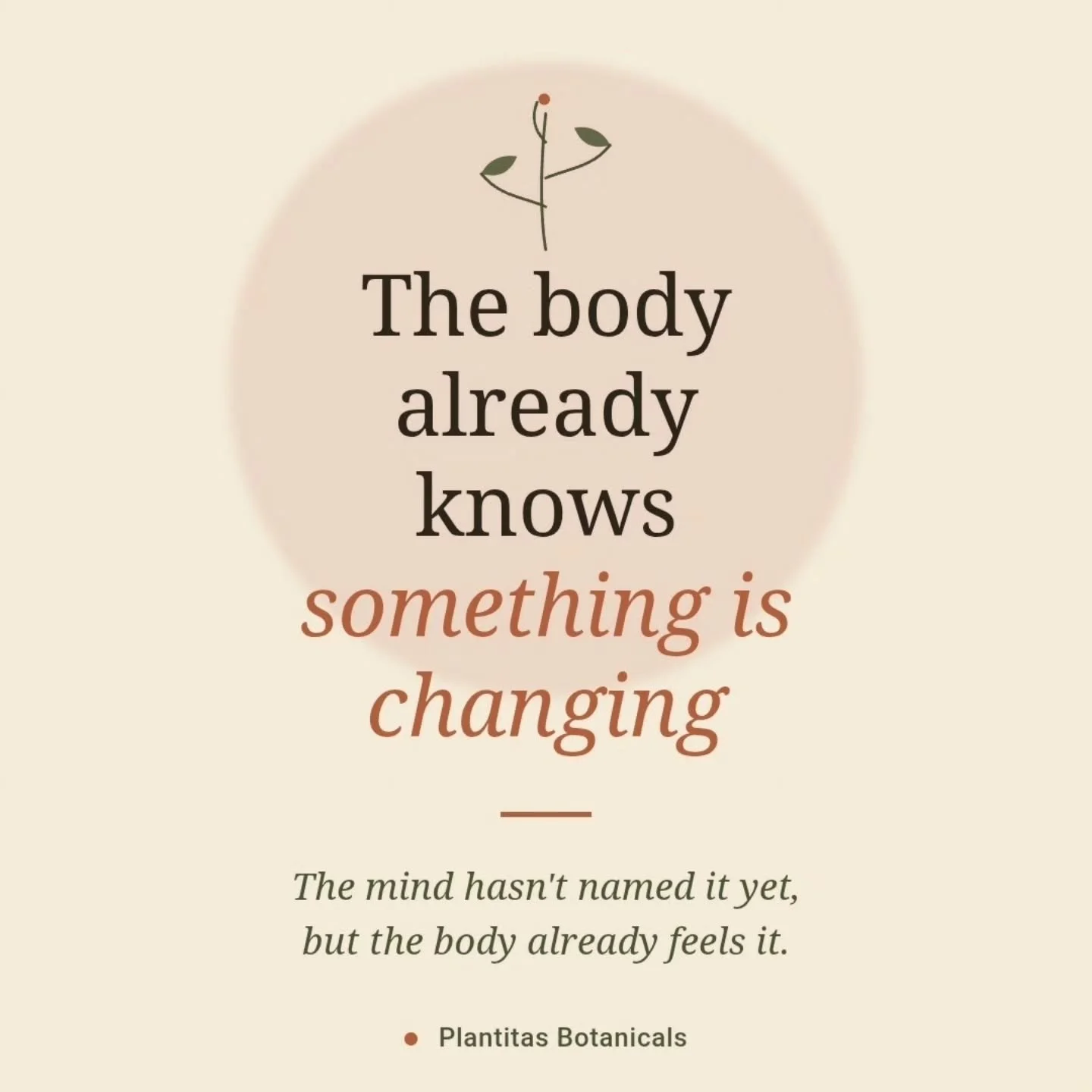 [Espa&ntilde;ol en siguiente slide] The body already knows something is changing.

Before your mind catches up, your body's already adjusting &mdash; the earlier tiredness, the craving for warmer food, skin that suddenly feels drier.

Autumn doesn't 