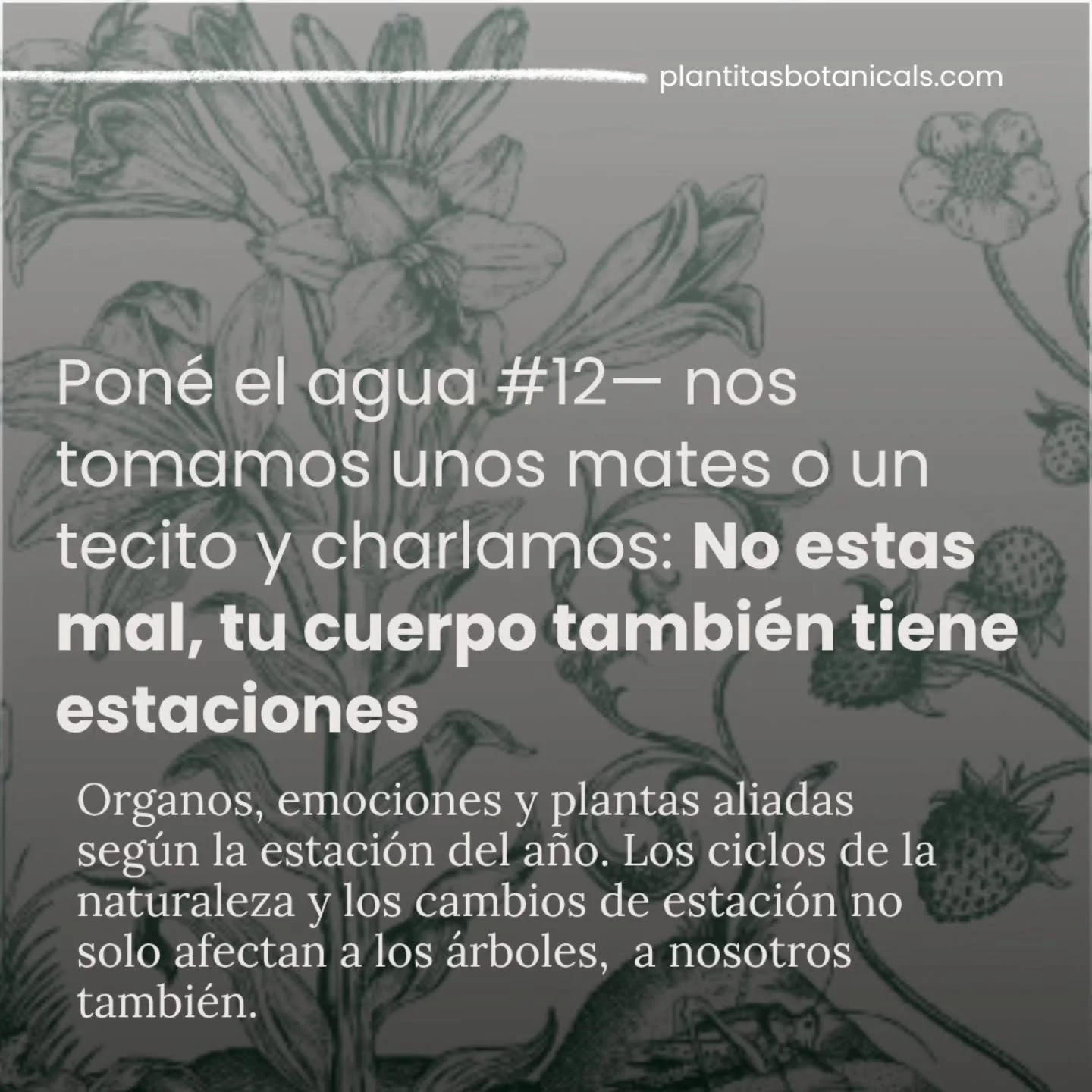 SWIPE FOR ENGLISH ➡️ What if it’s not about you, but about wanting to perform at your best all year long? 🌿

In nature, there is a time to act and a time to retreat. We live by a linear calendar and try to be the m