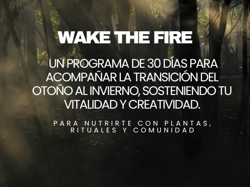 Texto promocional sobre un programa de 30 días para acompañar el cambio de otoño a invierno, con enfoque en vitalidad y creatividad, con fondo de un bosque con luz solar filtrándose entre los árboles.