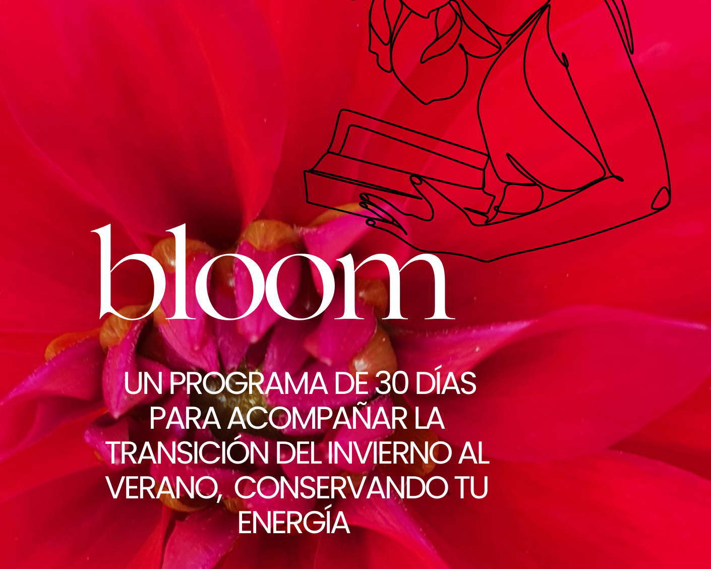 Fondo de una flor rosada con un texto en blanco que dice 'bloom' y una línea negra de una mano tocando una caja. Debajo, un texto que dice 'Un programa de 30 días para acompañar la transición del invierno al verano, conservando tu energía'.