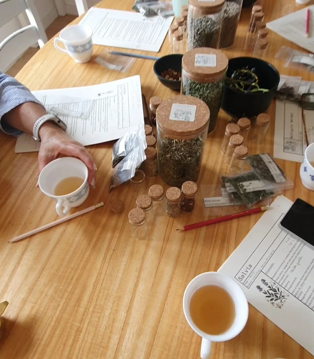 Mesa de madera con varios frascos y bolsas que contienen hierbas secas, tazas con té, documentos y utensilios para preparación de infusiones o experimentos con plantas.