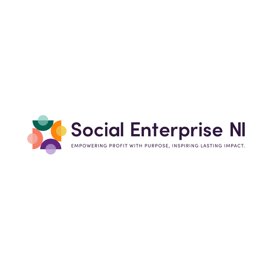 social enterprise ni Logo.png