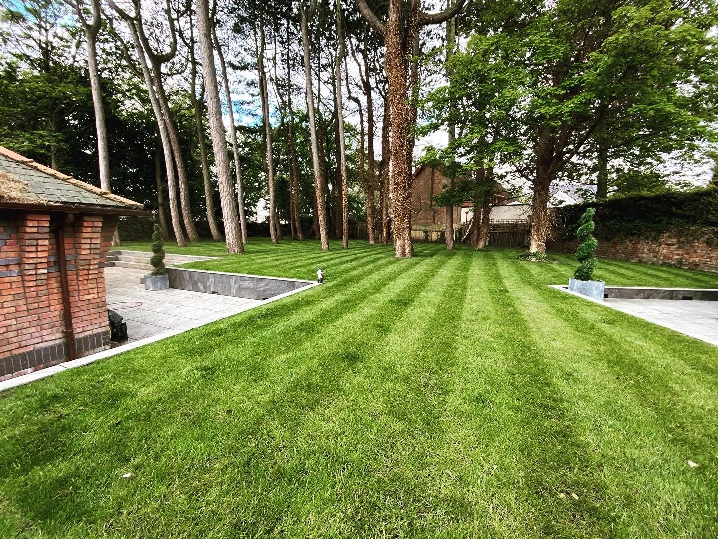 Well-maintained backyard with green grass, lined with trees, a brick building on the left, and potted topiary plants on the patio, fenced in the background.