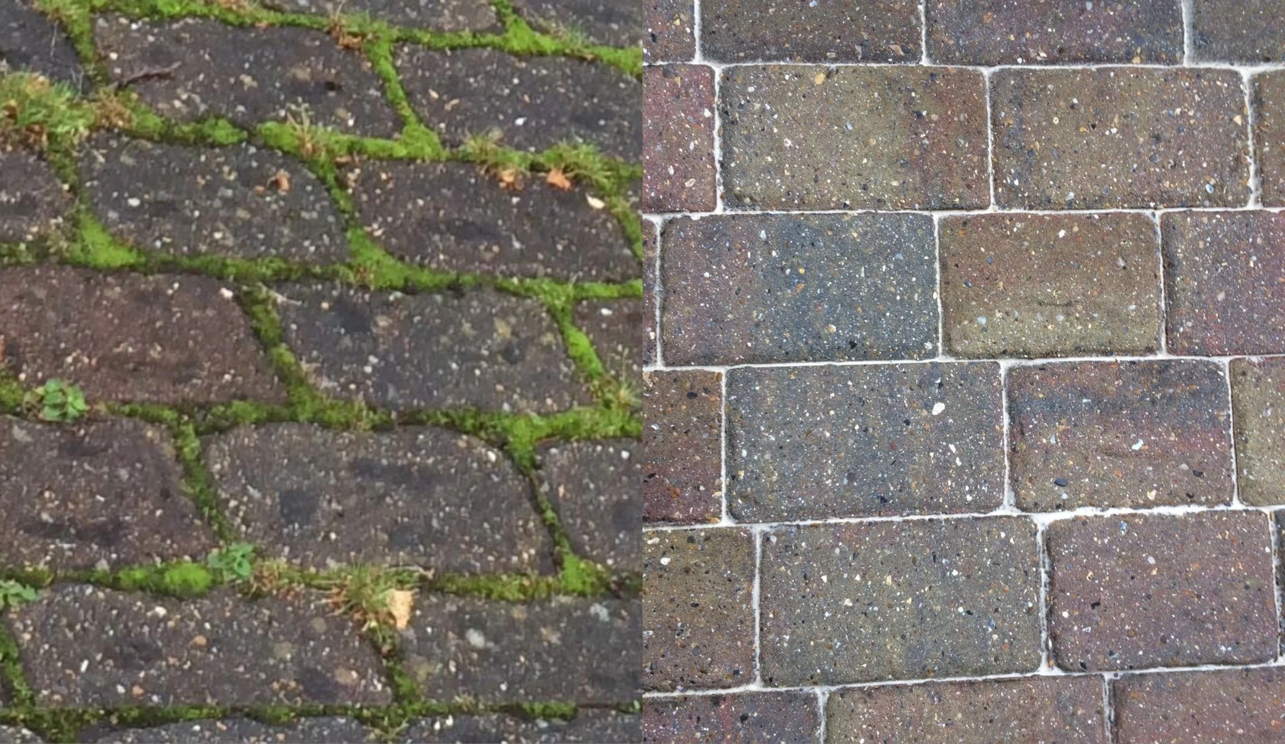 Comparison of two brick pavements: one with moss and weeds growing between the bricks, and one clean with neatly filled grout lines.