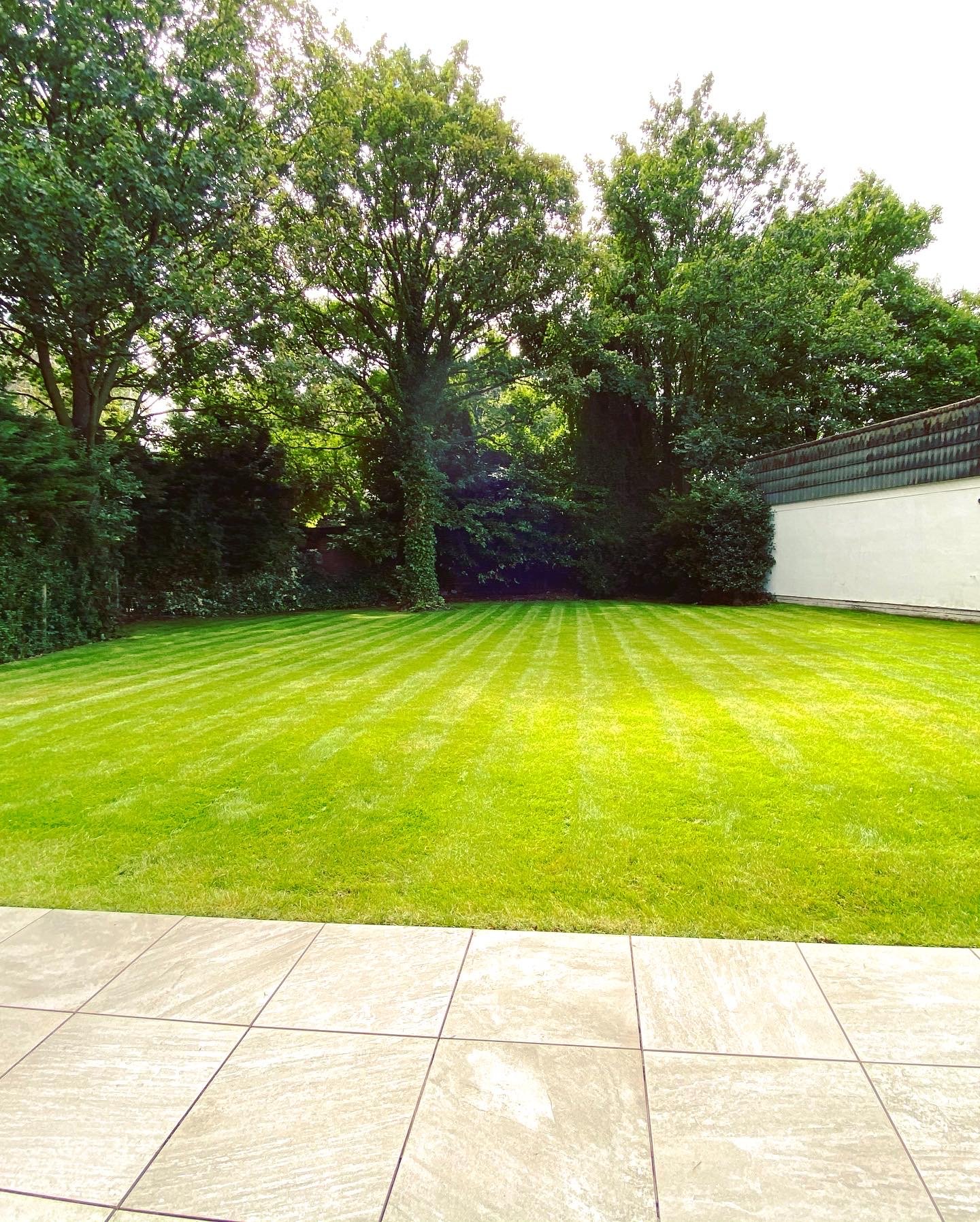 Green backyard with newly mowed grass, trees, shrubbery, a white wall on the right, and tiled patio in the foreground.