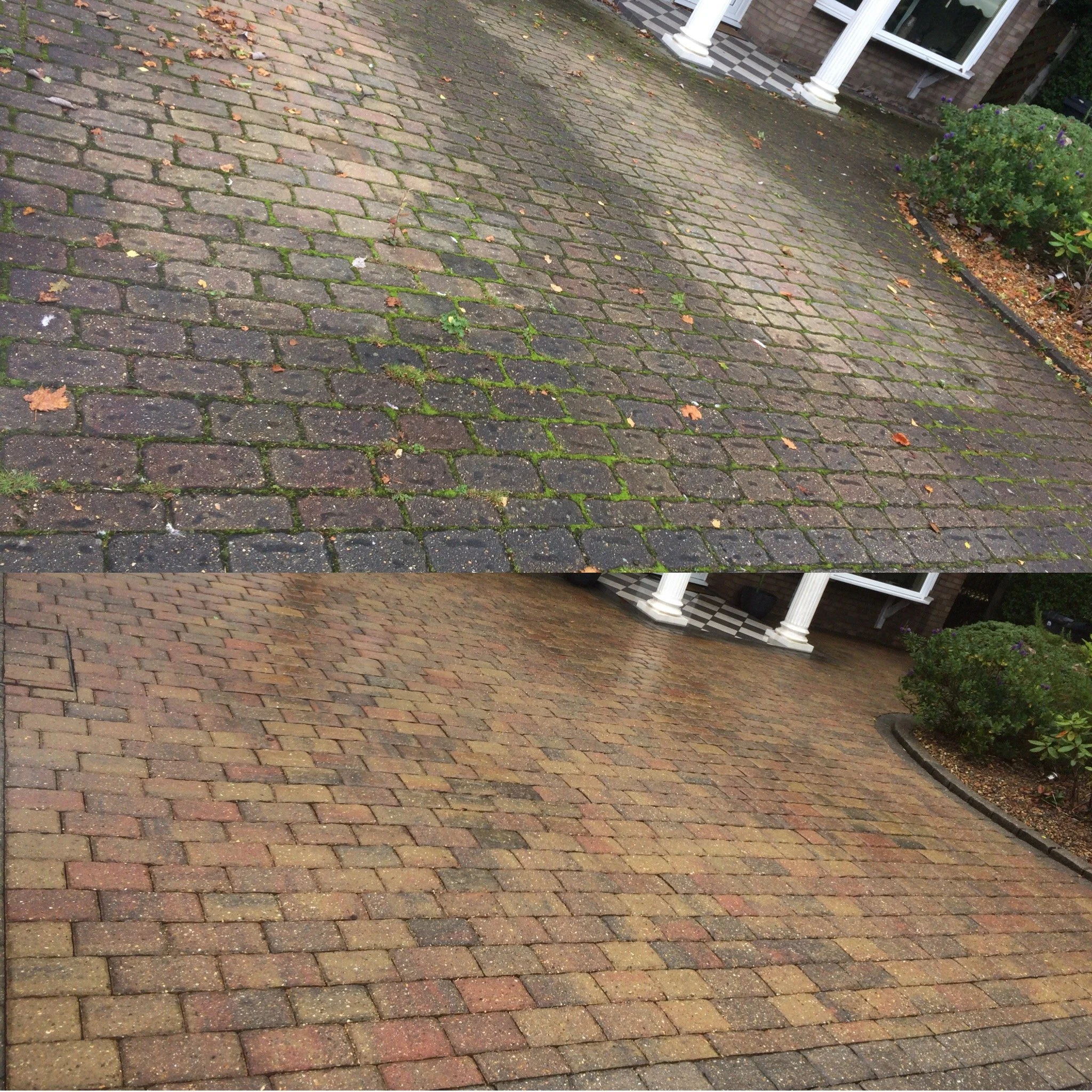 A close-up view of a brick paved porch with some moss and small plants growing between the bricks, and a house entrance with white columns and potted plants nearby.