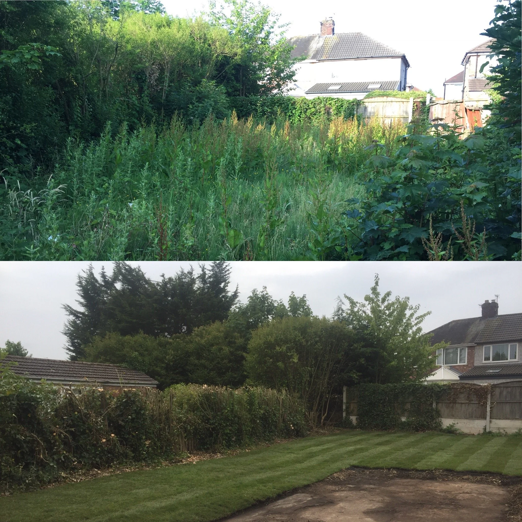 A backyard garden with a patch of freshly laid sod, tall grass, and various shrubs and trees. In the background, there are houses with tiled roofs and chimneys, and a partly cloudy sky.