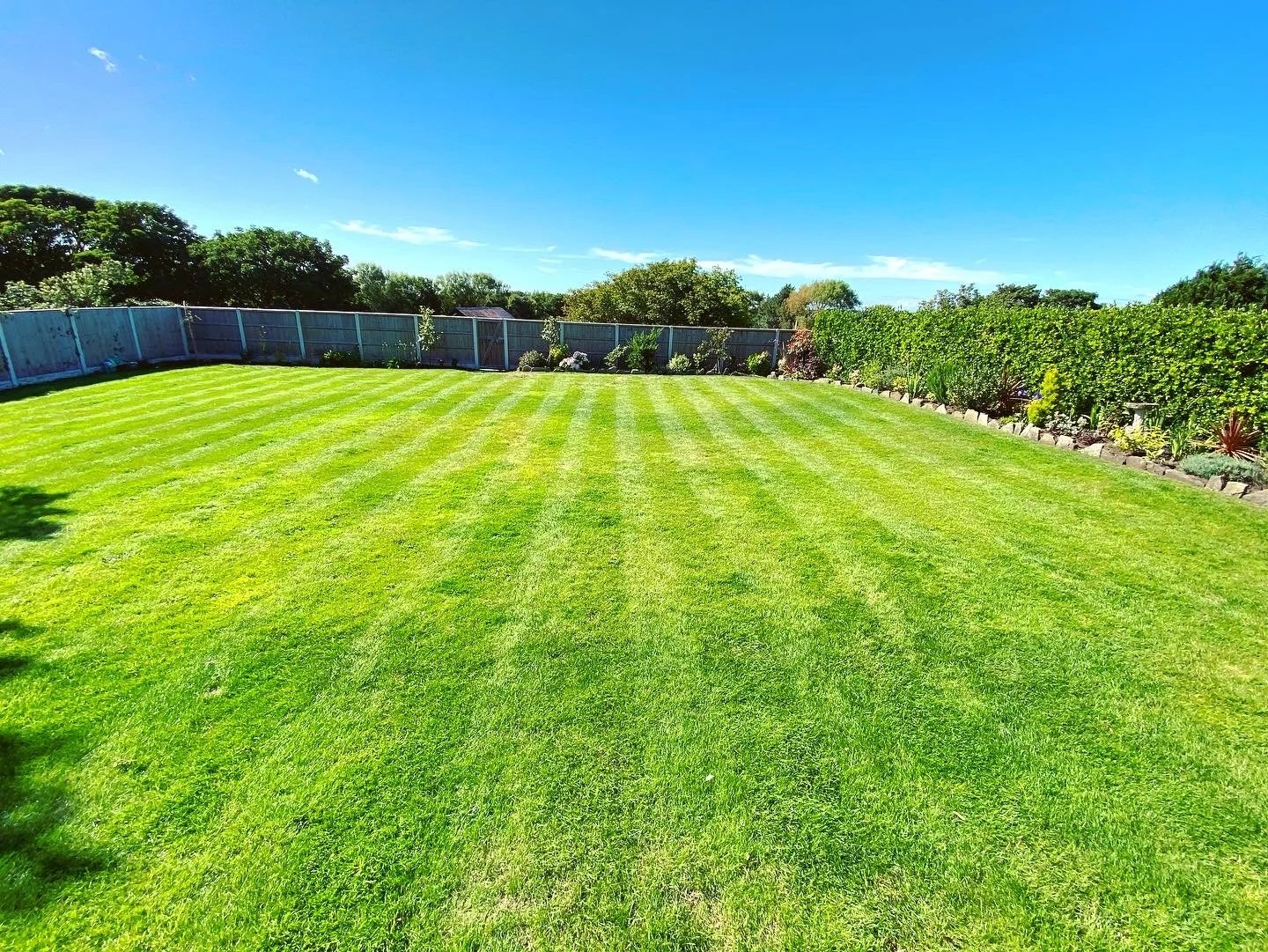A well-maintained lawn with green grass, bordered by flowering shrubs and trees, under a bright blue sky with a few clouds.
