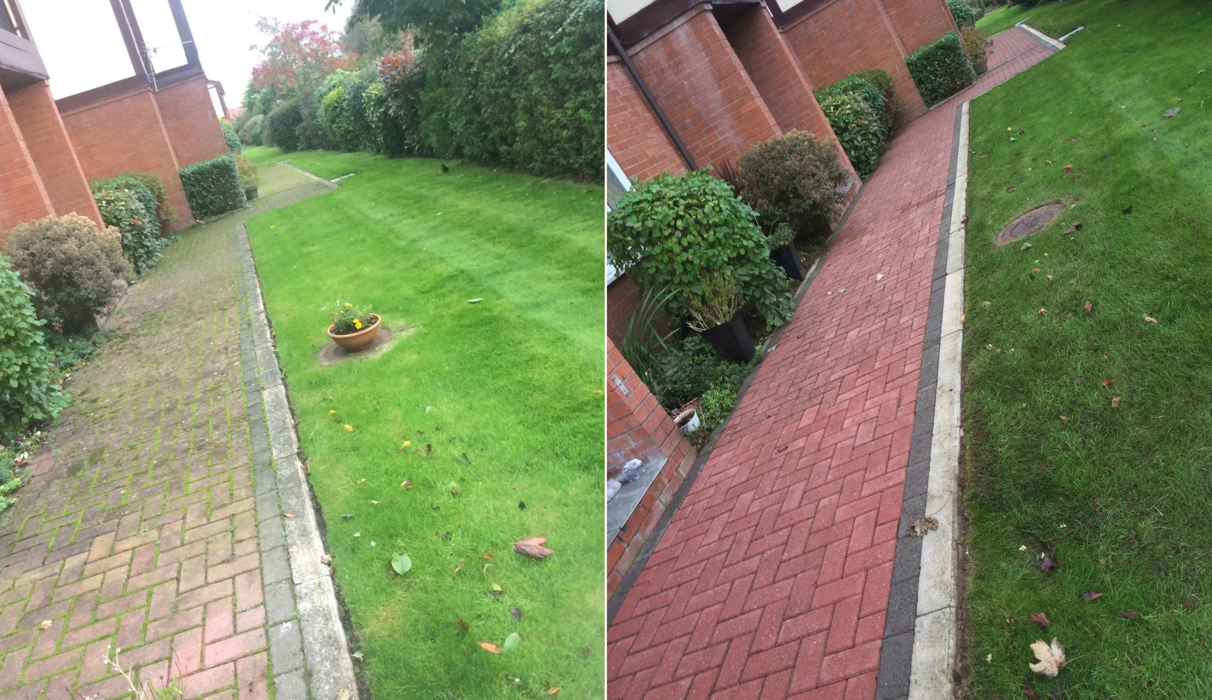 Comparison of a grass lawn with a brick walkway and bushes on the side, before and after the grass has been cut, and the walkway has been cleaned.