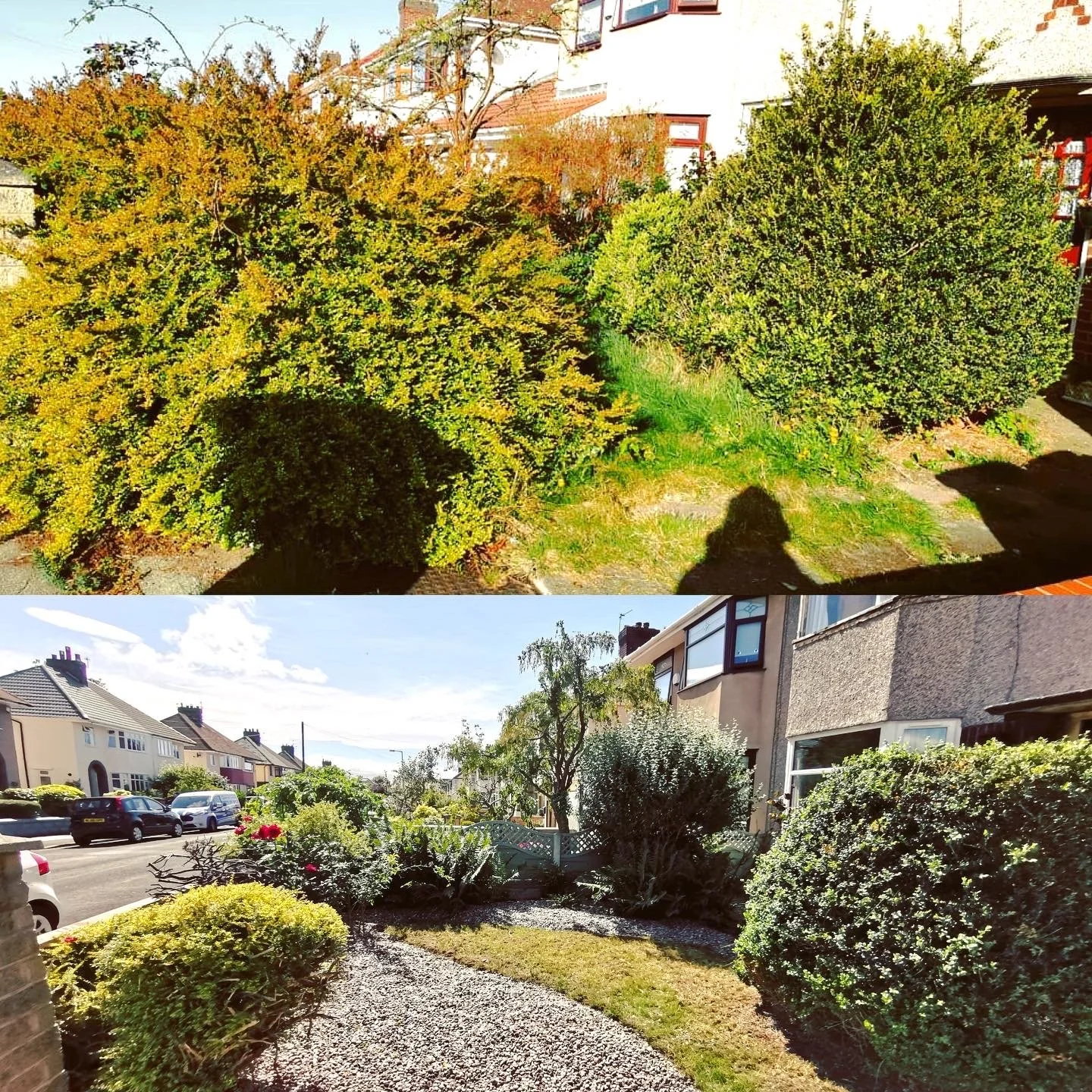 Comparison of a garden before and after planting and landscaping, showing overgrown bushes in the first image and a tidy yard with landscaped bushes and a gravel path in the second image.