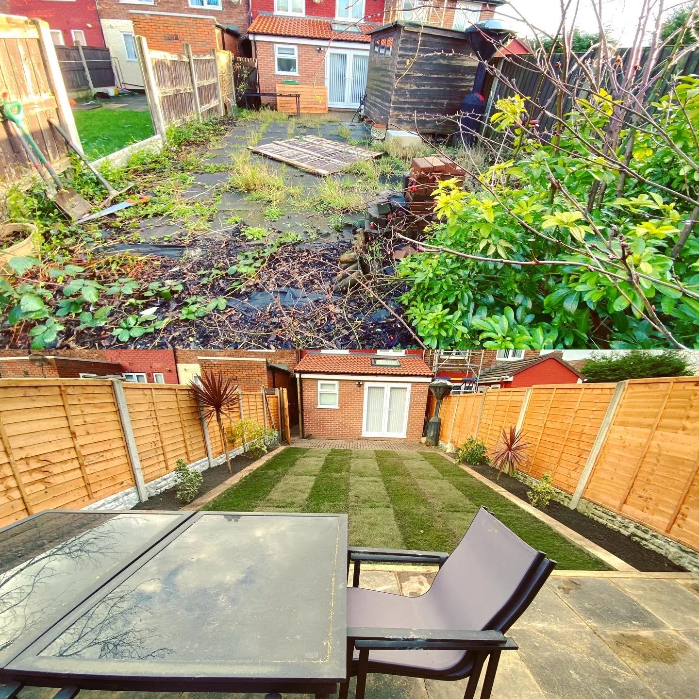 Comparison of a messy, overgrown backyard with weeds, debris, and a dilapidated shed in the top half, and a freshly landscaped, neatly maintained backyard with a lawn, new fencing, and small plants in the bottom half.