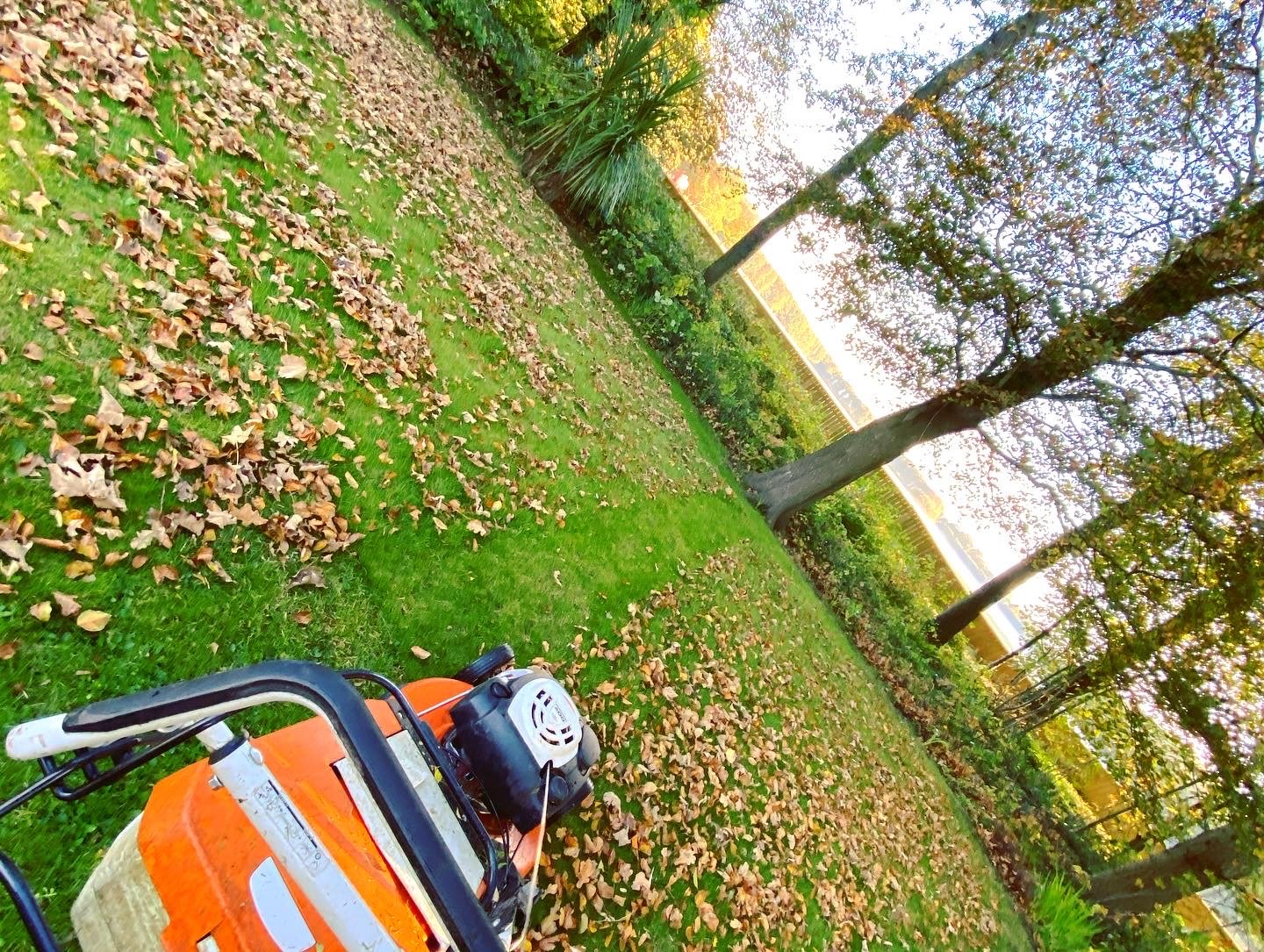 A leaf blower is on the ground in a grassy yard with fallen leaves scattered around, with trees and a fence visible in the background.
