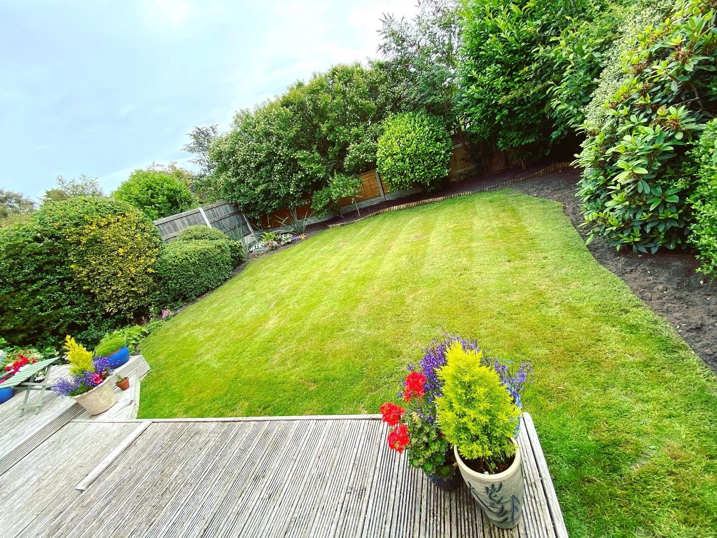 A view of a backyard garden showing a grassy lawn, potted flowers on a wooden deck, and lush bushes and trees along the fence line.