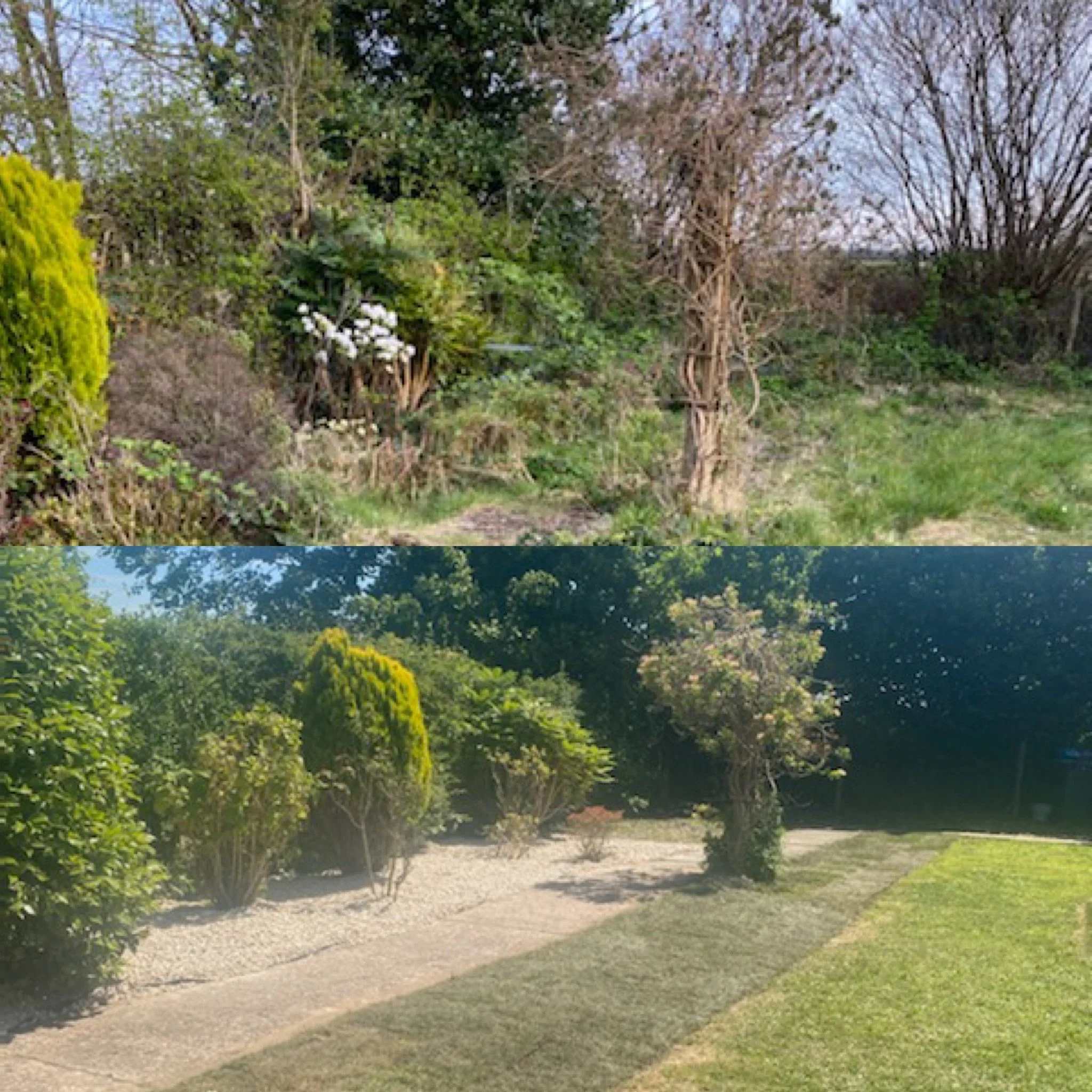A park scene with a gravel walking path, surrounded by green bushes, trees with budding leaves, and a bench in the distance.