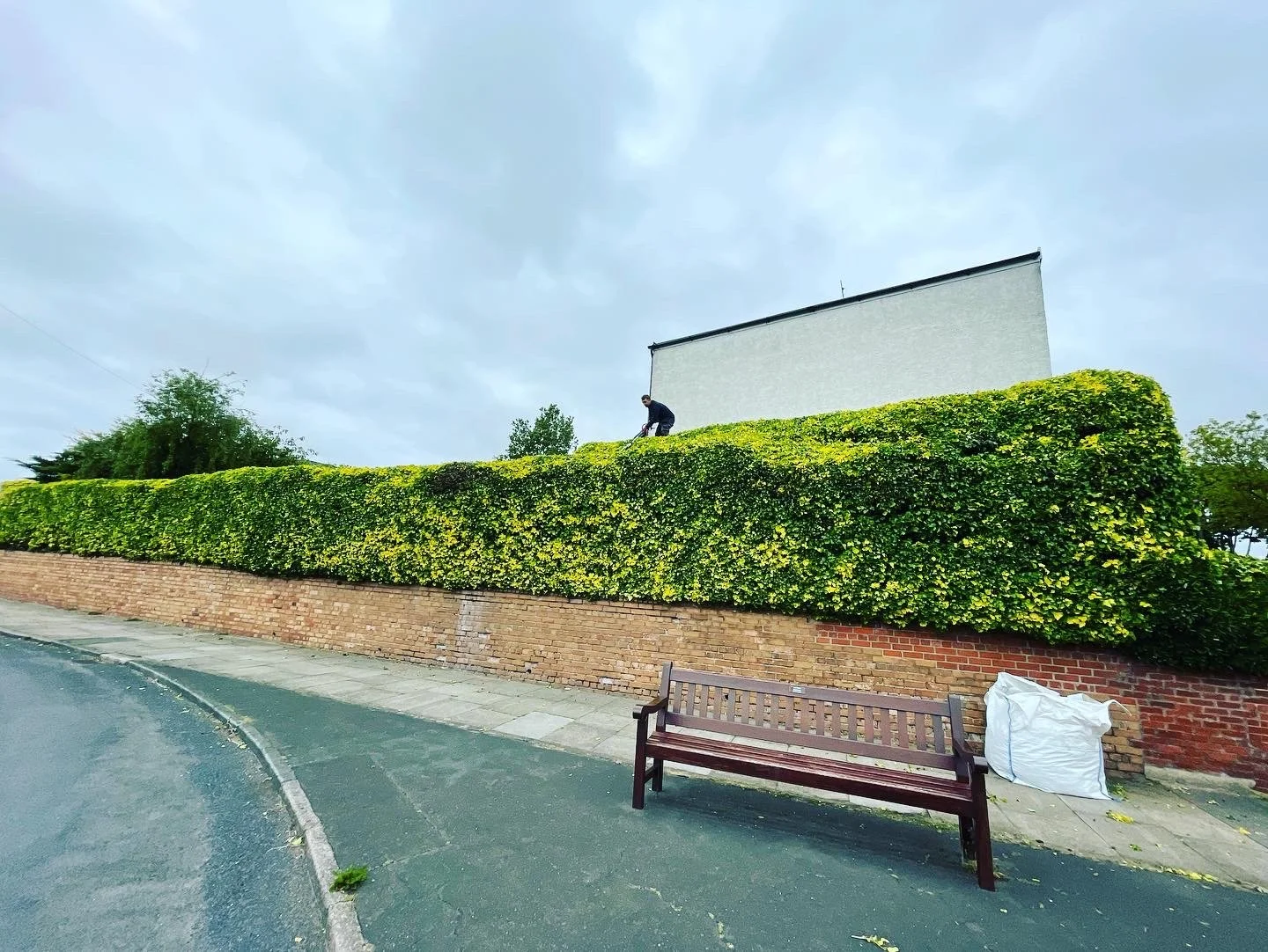 Man trimming a large green hedge on top of a brick wall, with a bench and a white bag nearby, under a cloudy sky.