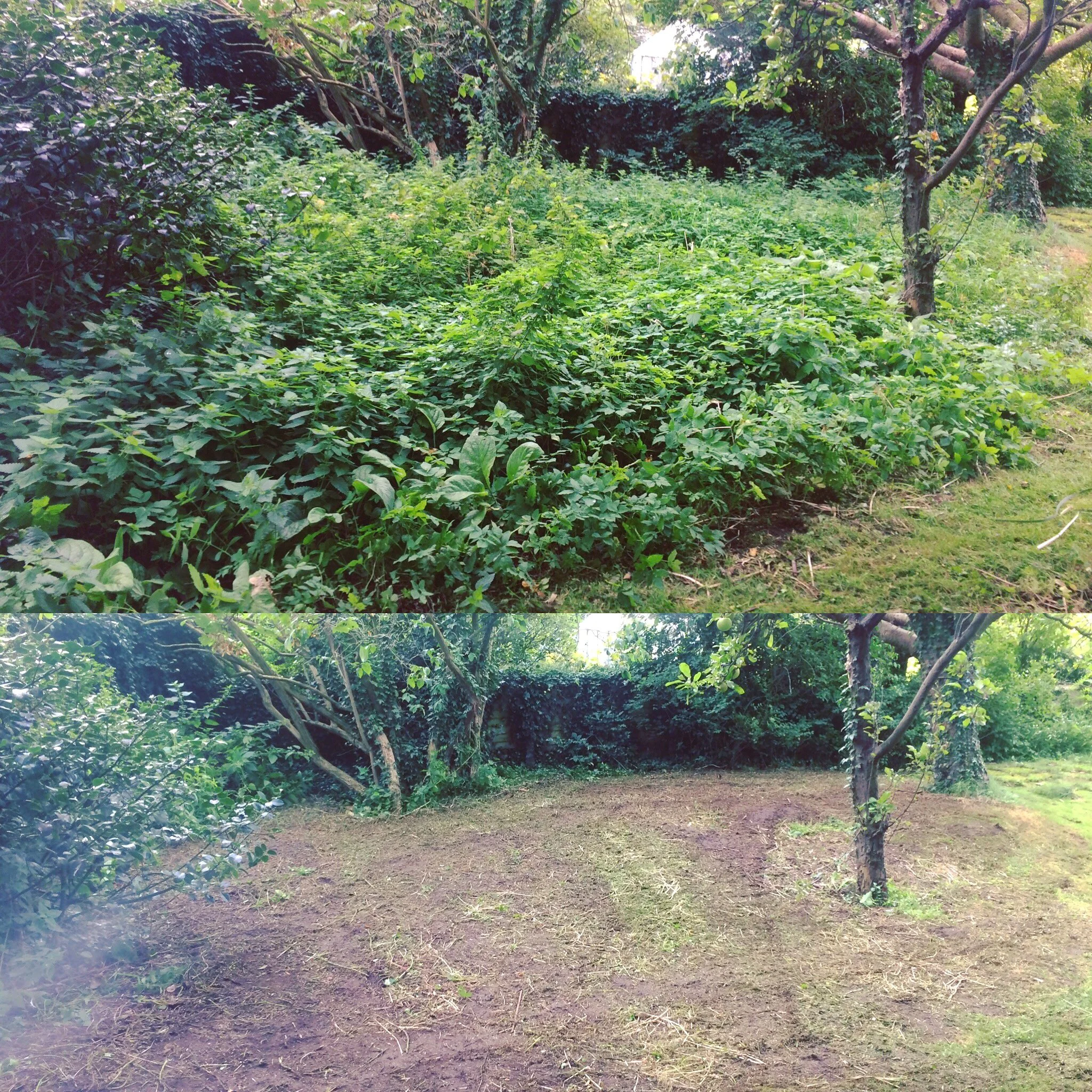 A lush, green garden with dense foliage, trees, and a grassy path on the right side, surrounded by bushes and ivy-covered trees.