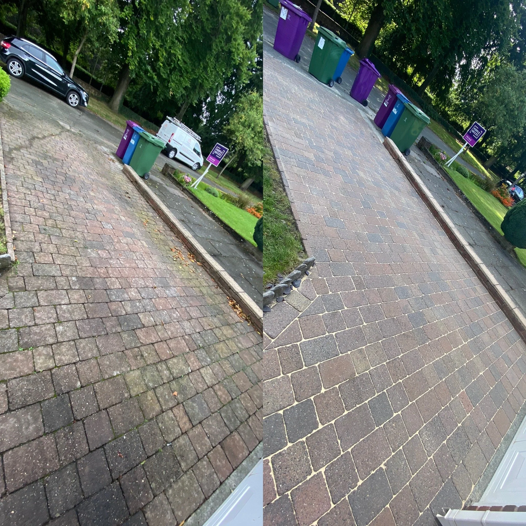 Side view of a sidewalk with colorful trash bins in purple, green, and blue, lined up along a brick-paved path shaded by lush green trees.