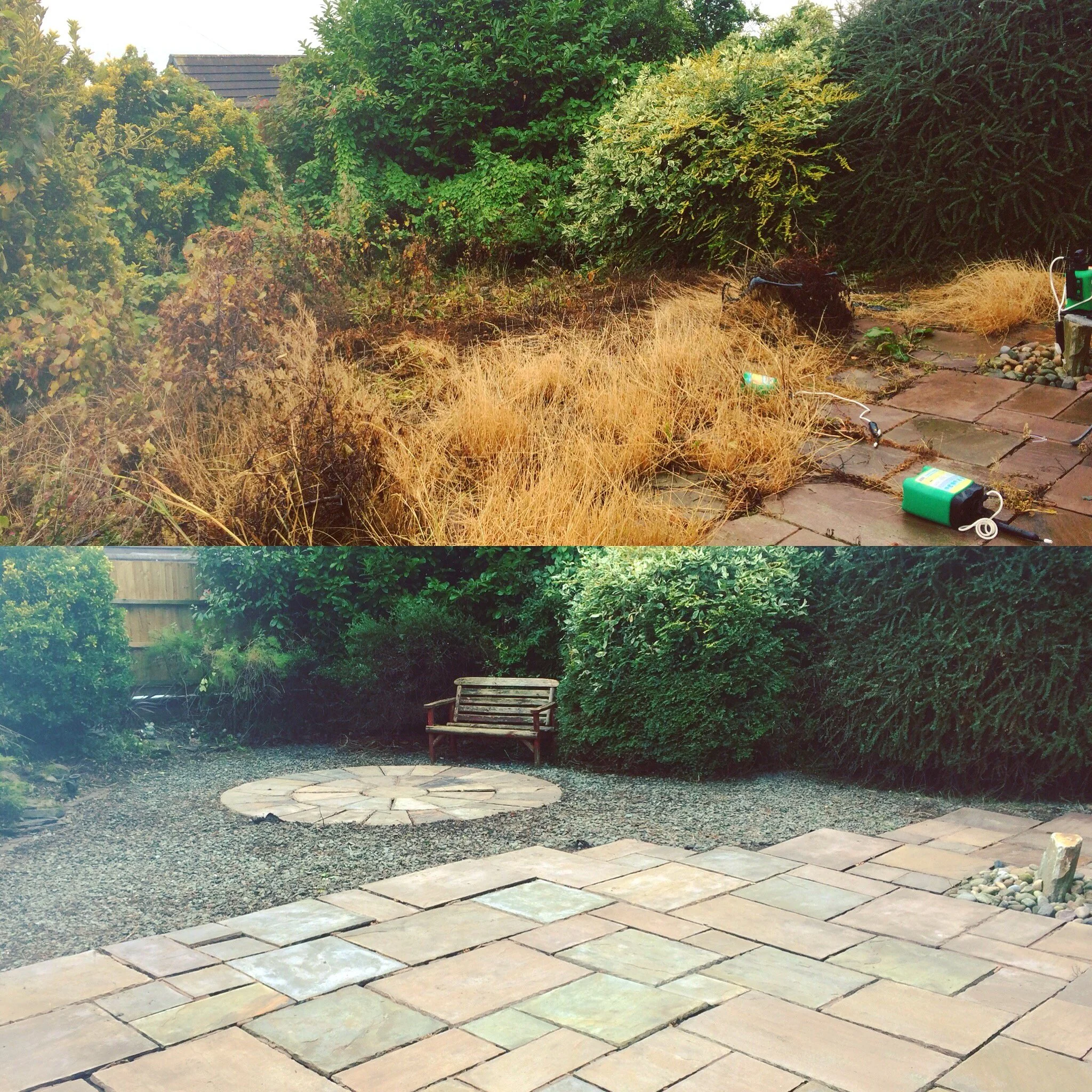 Backyard garden with a stone patio, a wooden bench, and various bushes and trees, some yellowed and dried grass, with a string of outdoor lights and a small fire pit.
