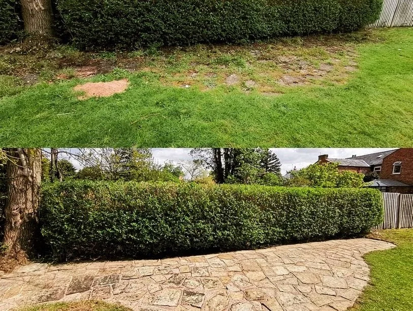 Comparison of a lawn with patches of dirt above and a landscaped yard with a neatly trimmed hedge and stone patio below.