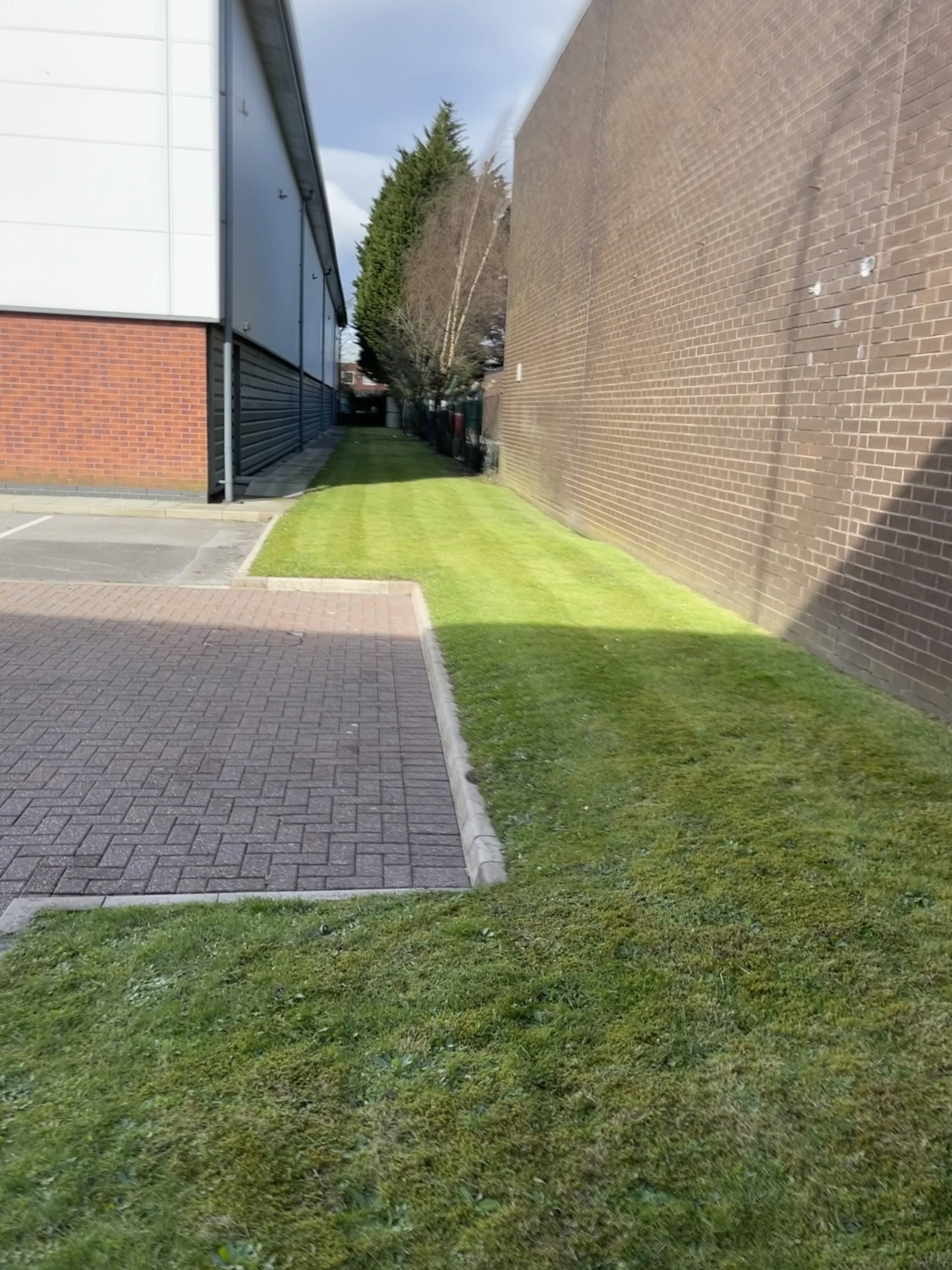 A small grassy area with a paved brick path and a larger brick wall on the right side. A shadow of trees is cast on the grass, and trees and a building are visible in the background.