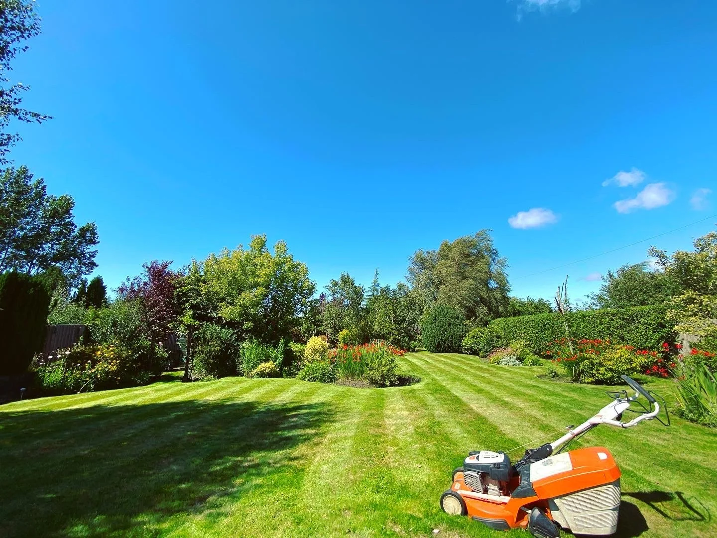 A well-maintained backyard with a lush green lawn, colorful flower beds, trees, and bushes under a clear blue sky, with a lawn mower in the right foreground.