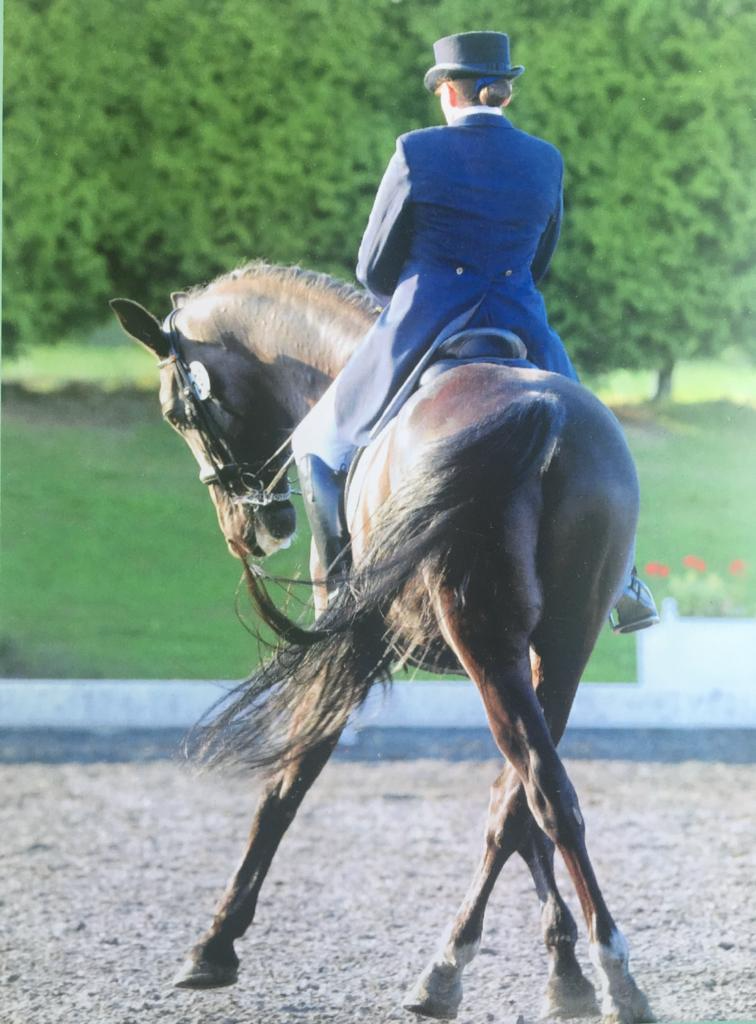 A person dressed in formal riding attire, including a top hat and coat, riding a brown horse in an outdoor riding arena.