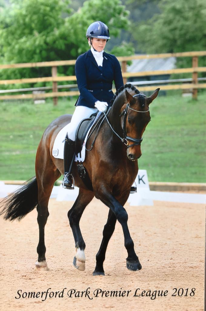 A rider in formal riding attire, including a navy jacket, white breeches, and helmet, sitting on a brown horse with a black mane and tail, during a competition at Somerford Park Premier League 2018, with a wooden fence and green trees in the background.