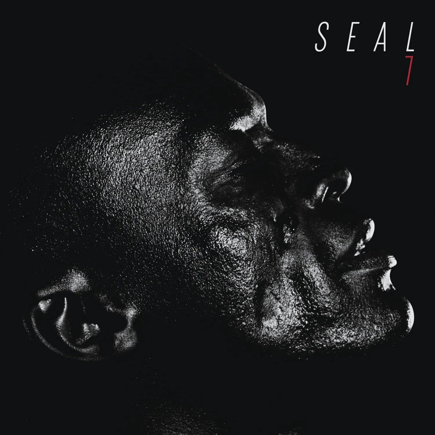 seal12.jpg