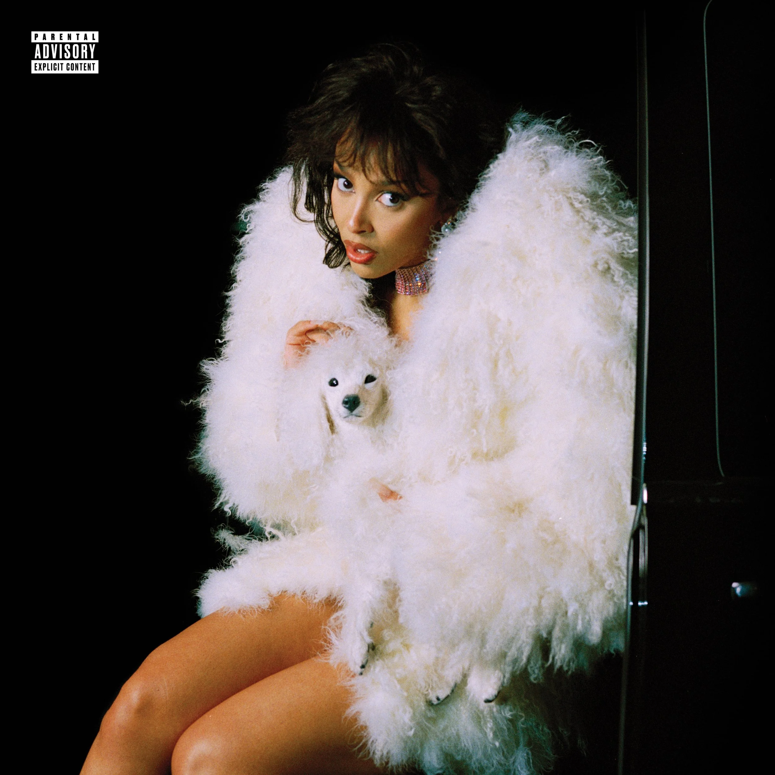 Vie-Poodle-PA.jpg