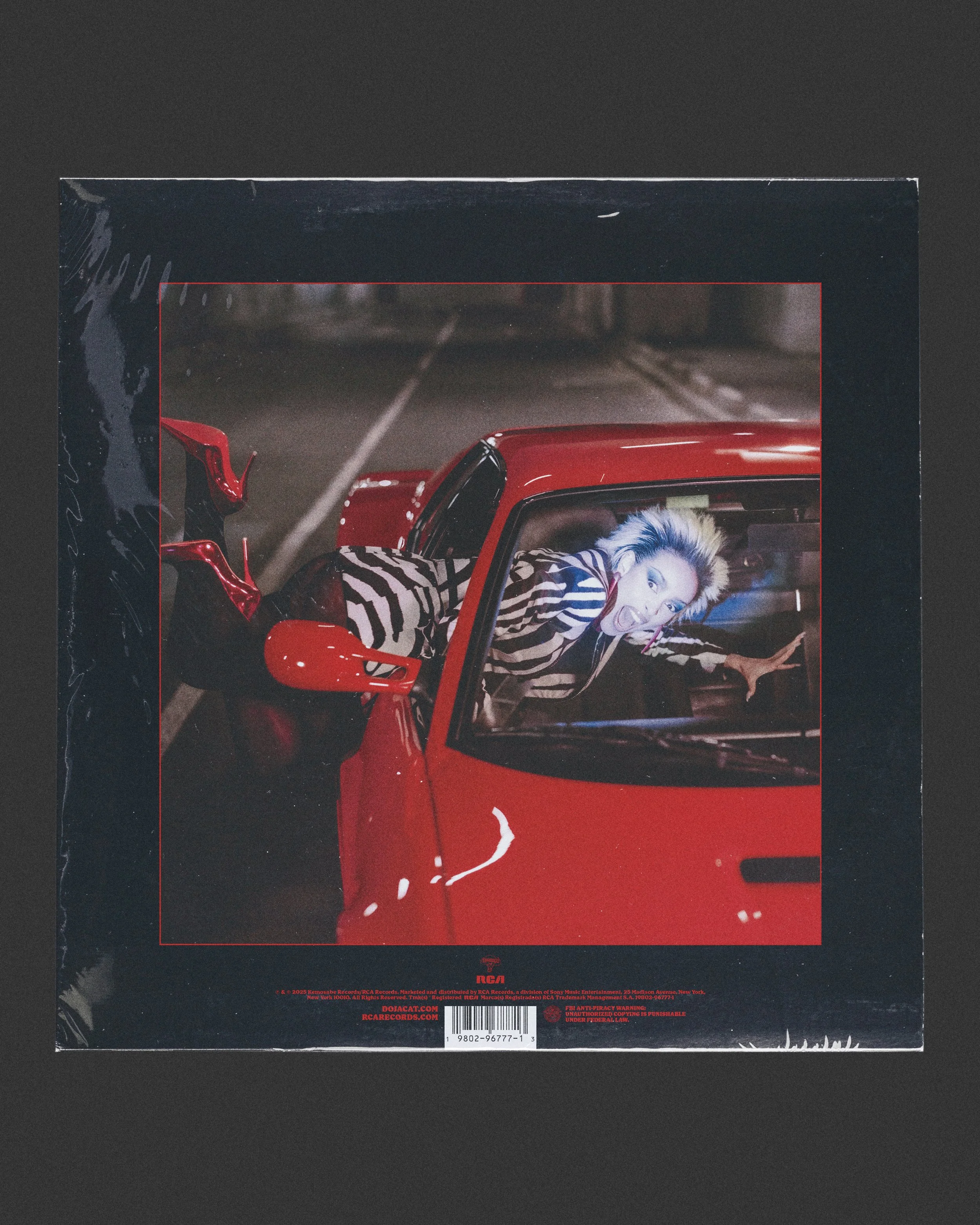 zebra2.jpg