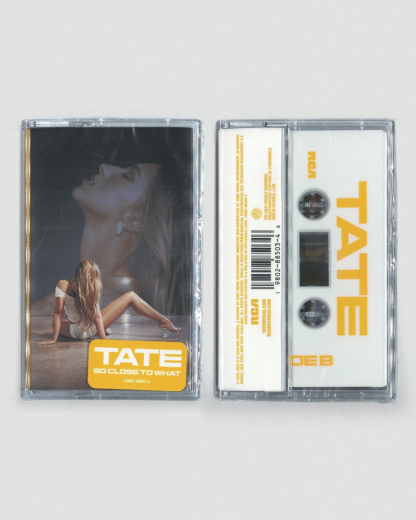 tate-cassette1.jpg