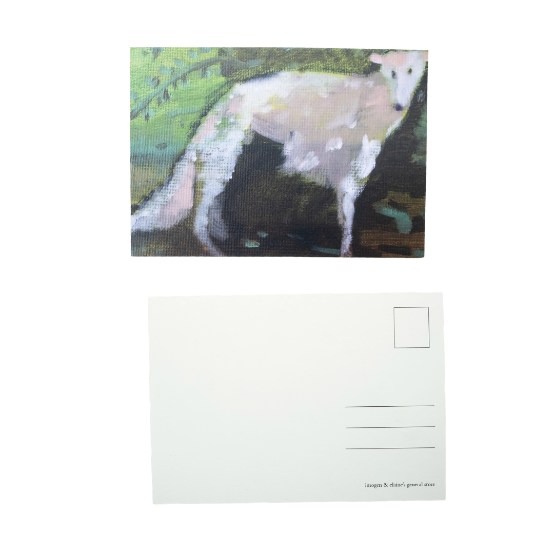 Alpine Dog Postcard