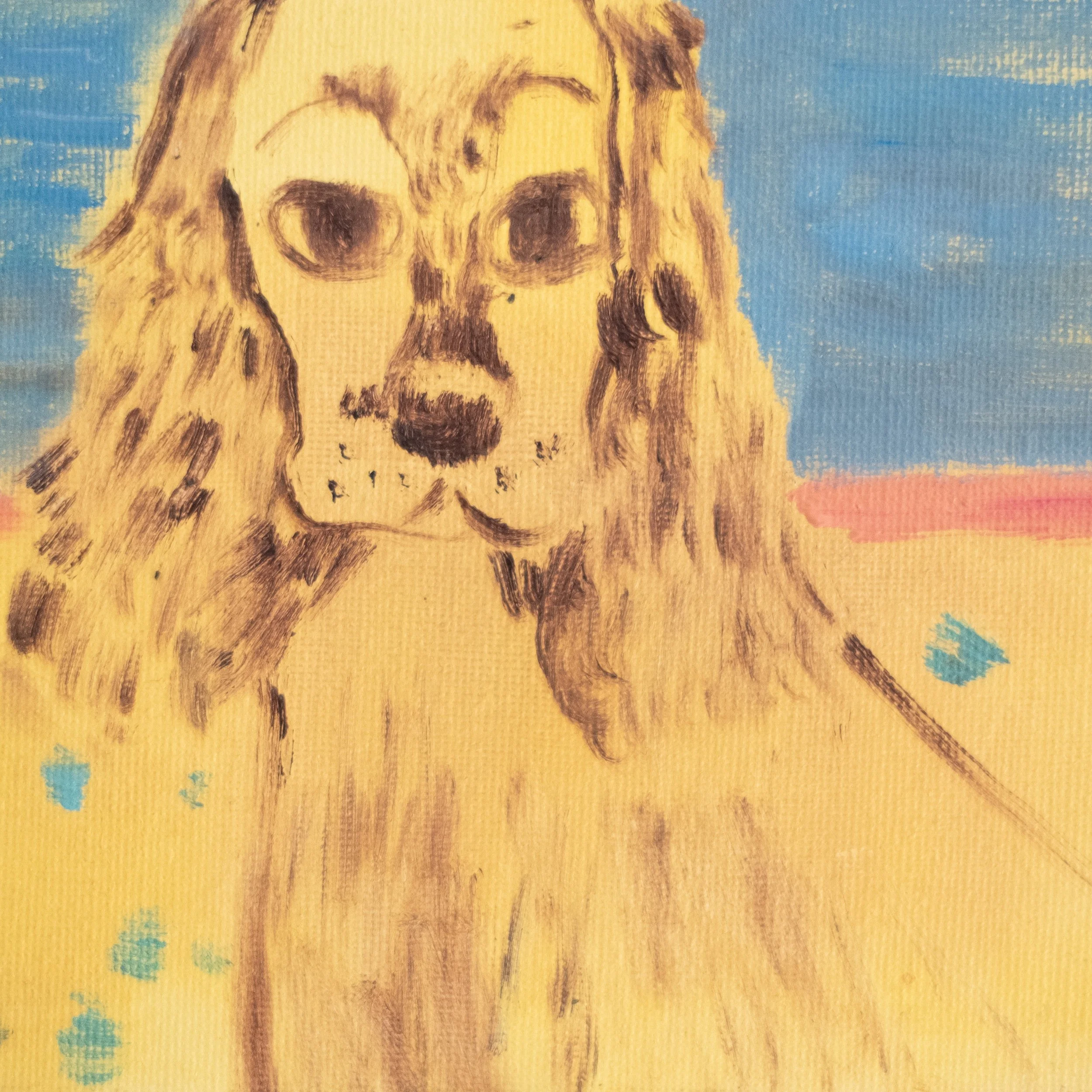 Wise dog_detail.jpg