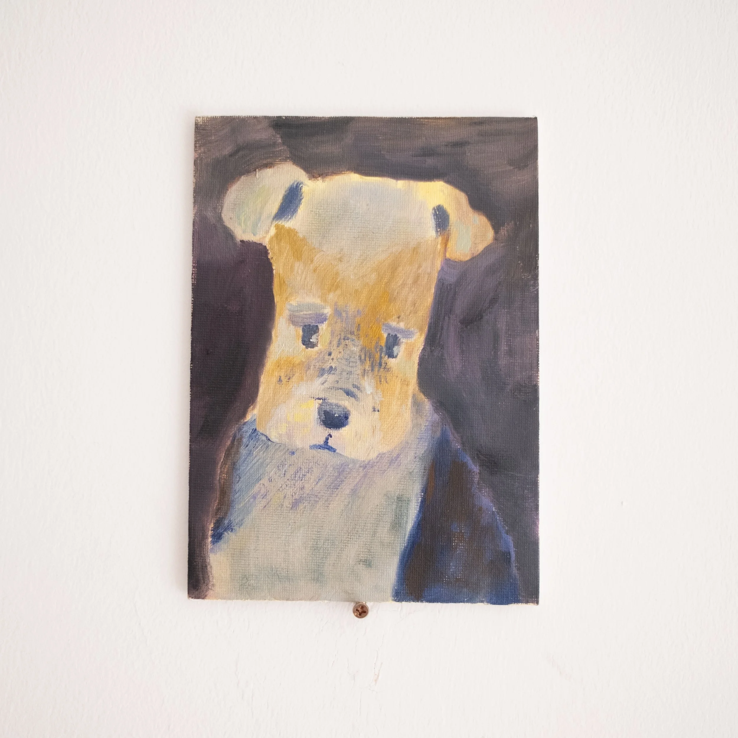 sad dog.jpg