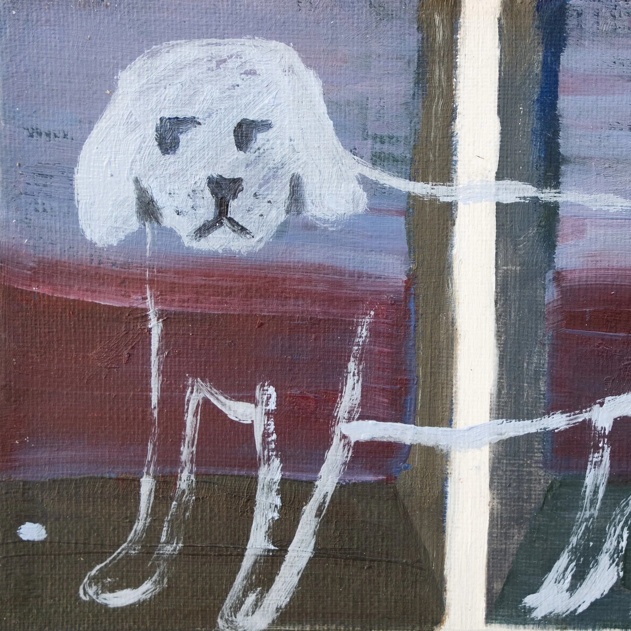 Ghost Dog by the Window