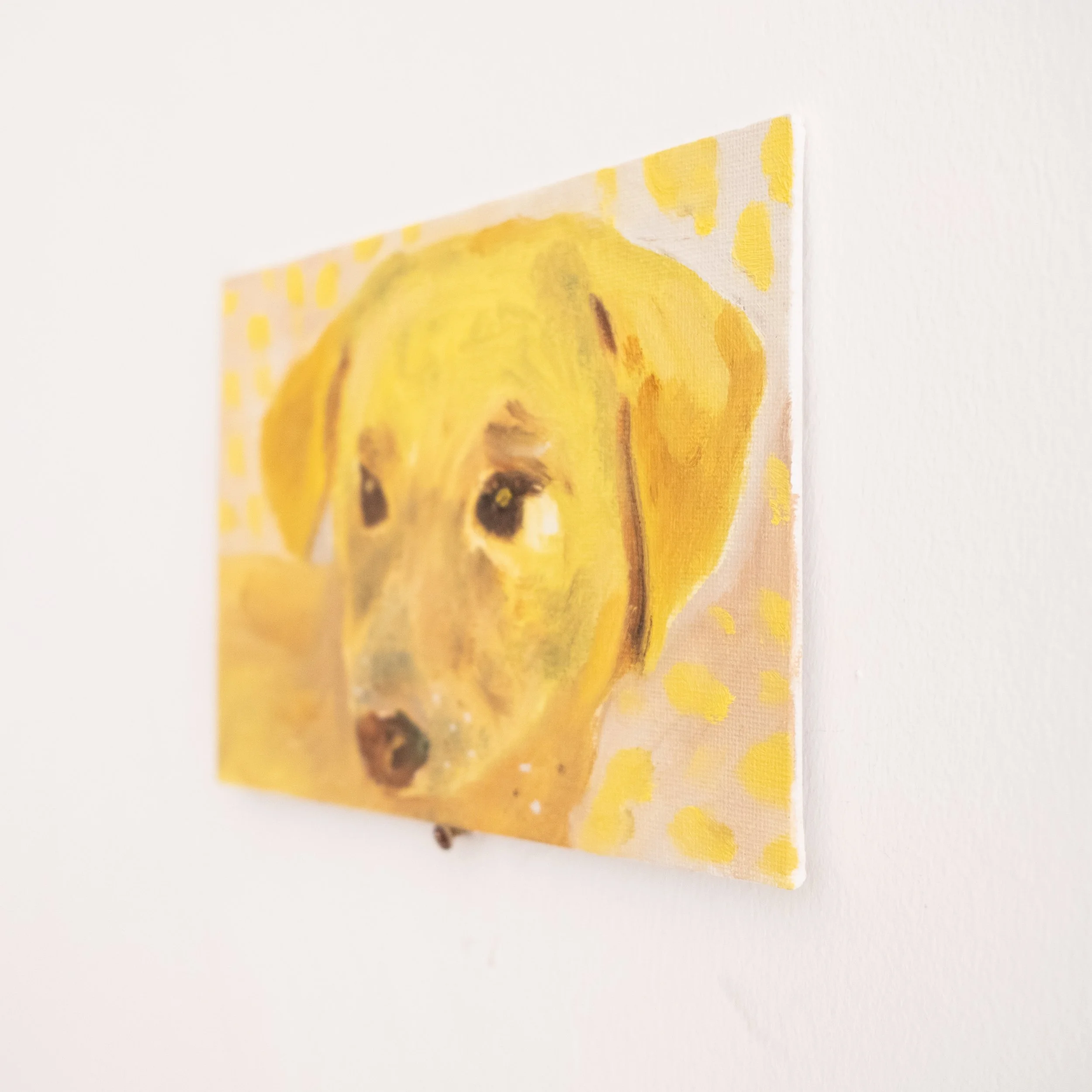 young dog_side.jpg