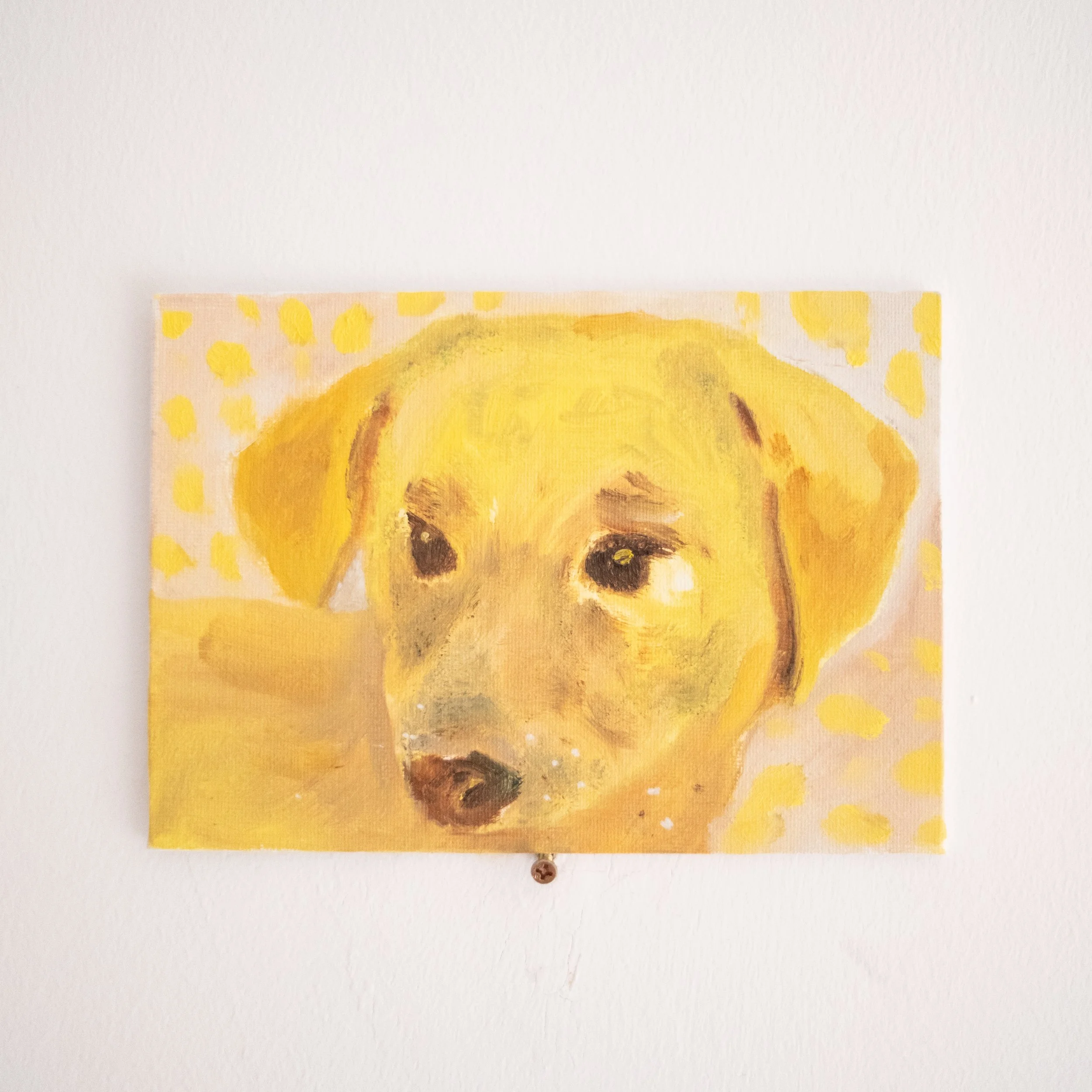 Young dog