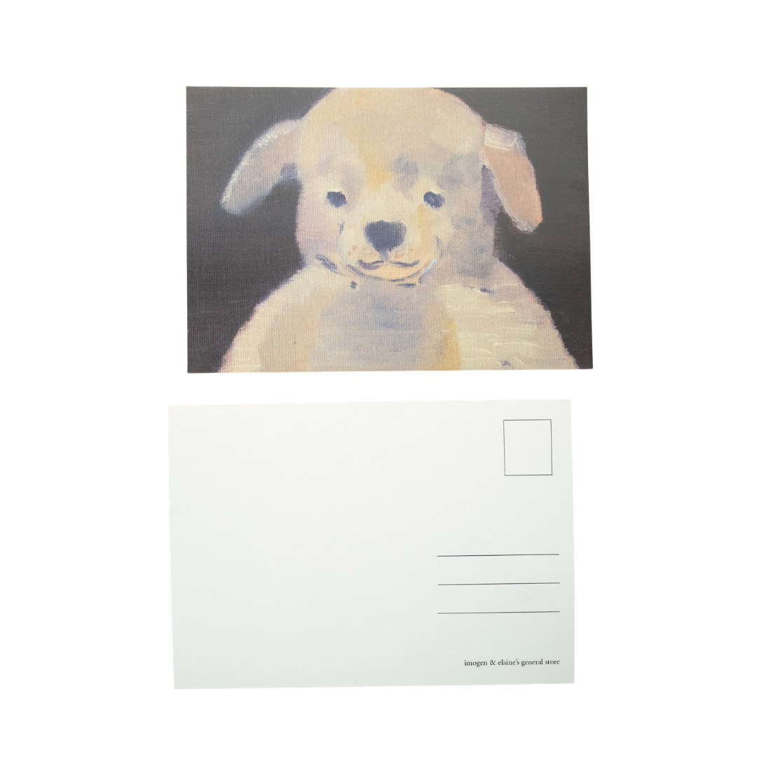 Cutest Dog Postcard